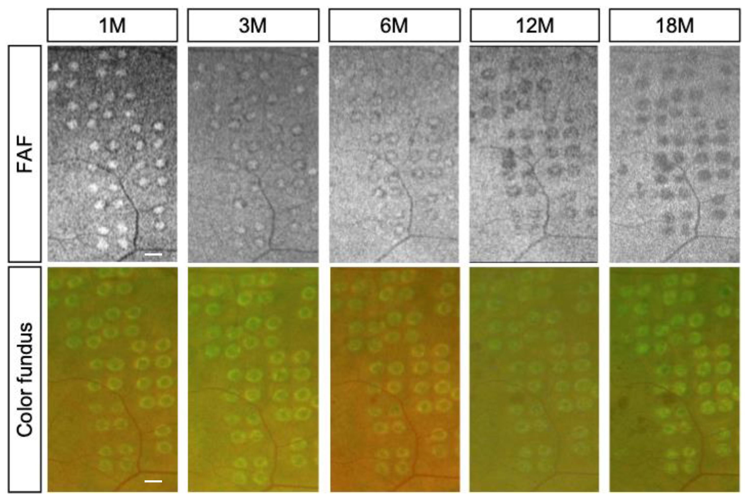 Life 13 01901 g003 Life 13 01901 g003