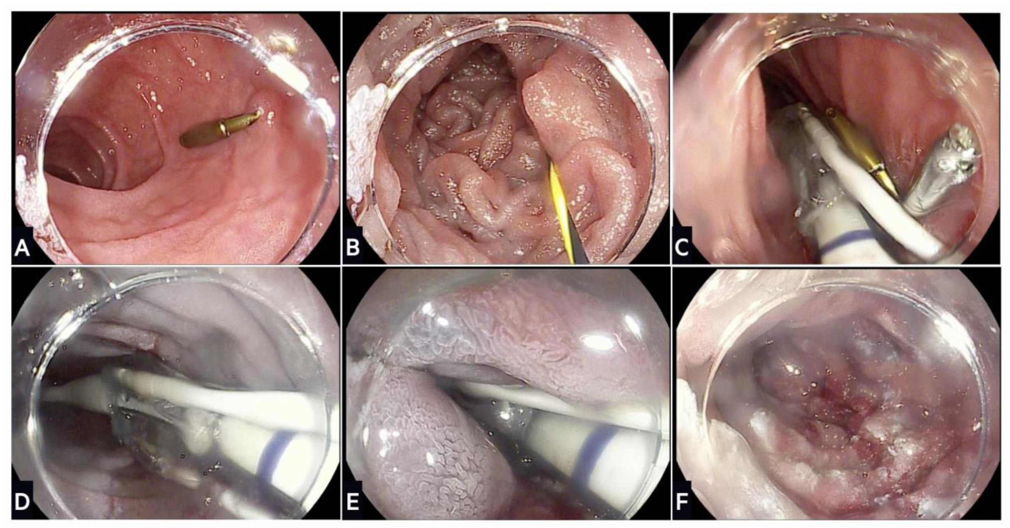 Life 13 01905 g003 Life 13 01905 g003
