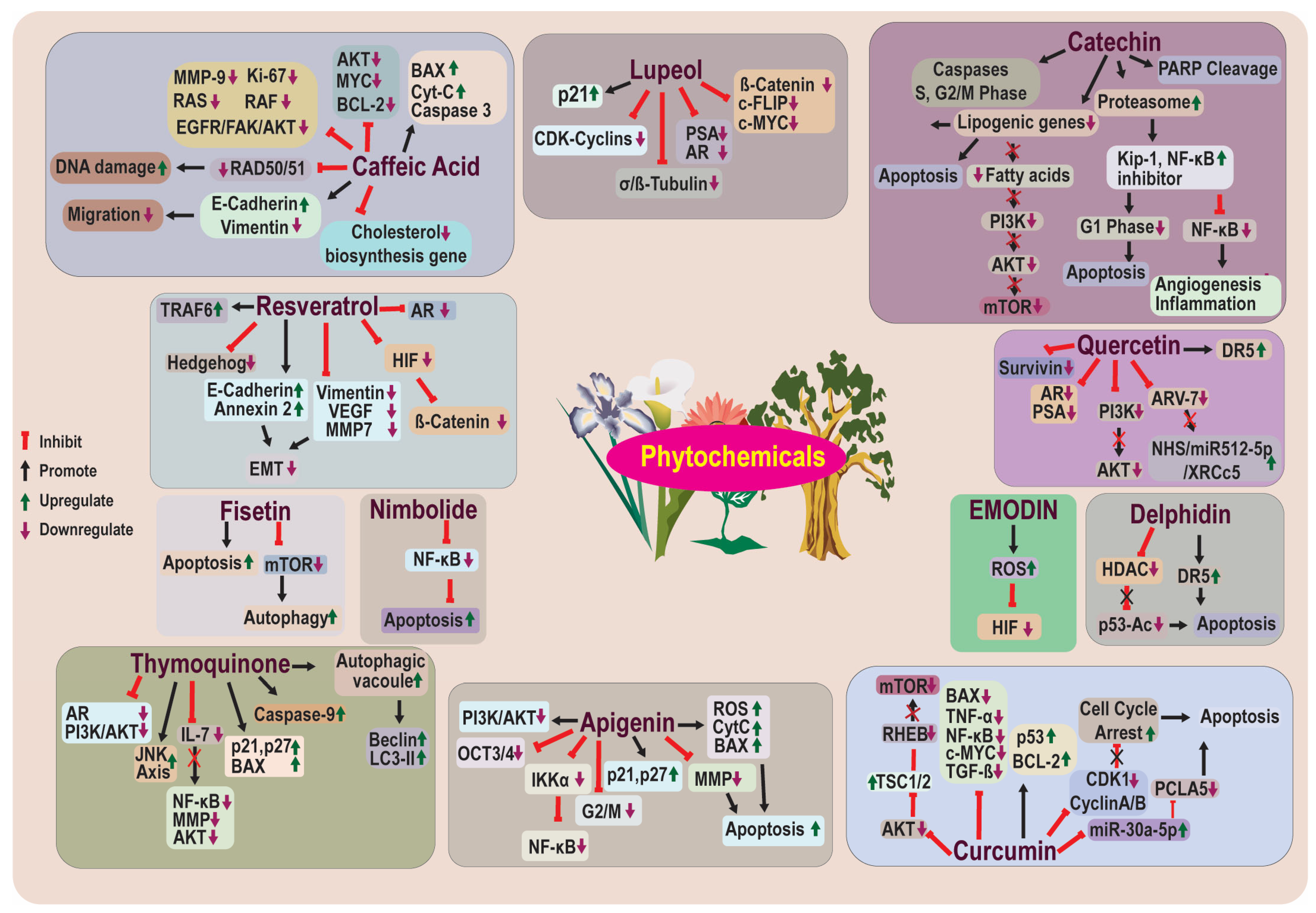 Life 13 01976 g003 Life 13 01976 g003