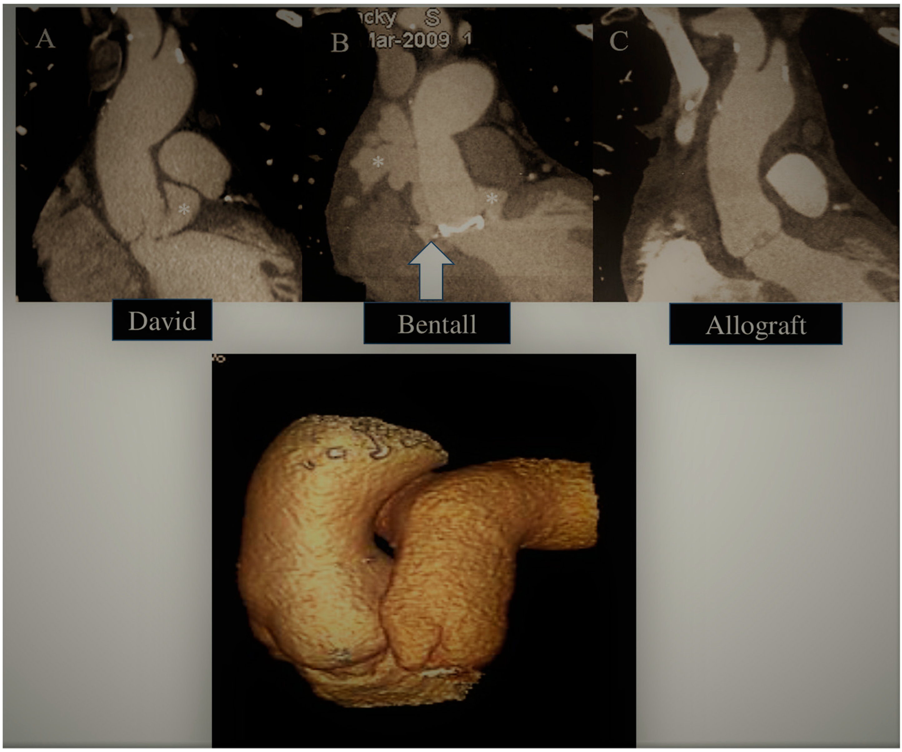 Life 13 01980 g001 Life 13 01980 g001