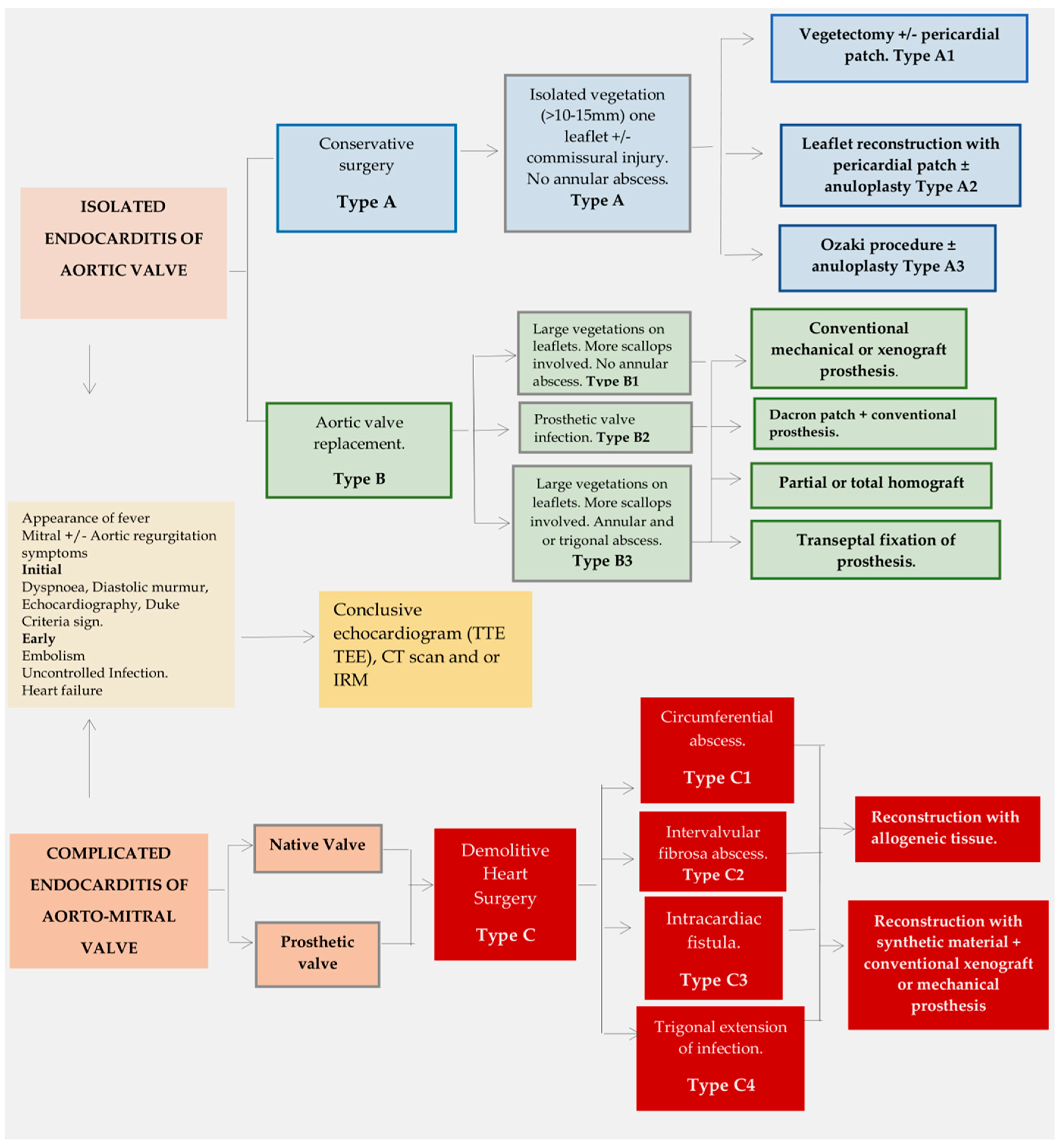 Life 13 01980 g003 Life 13 01980 g003