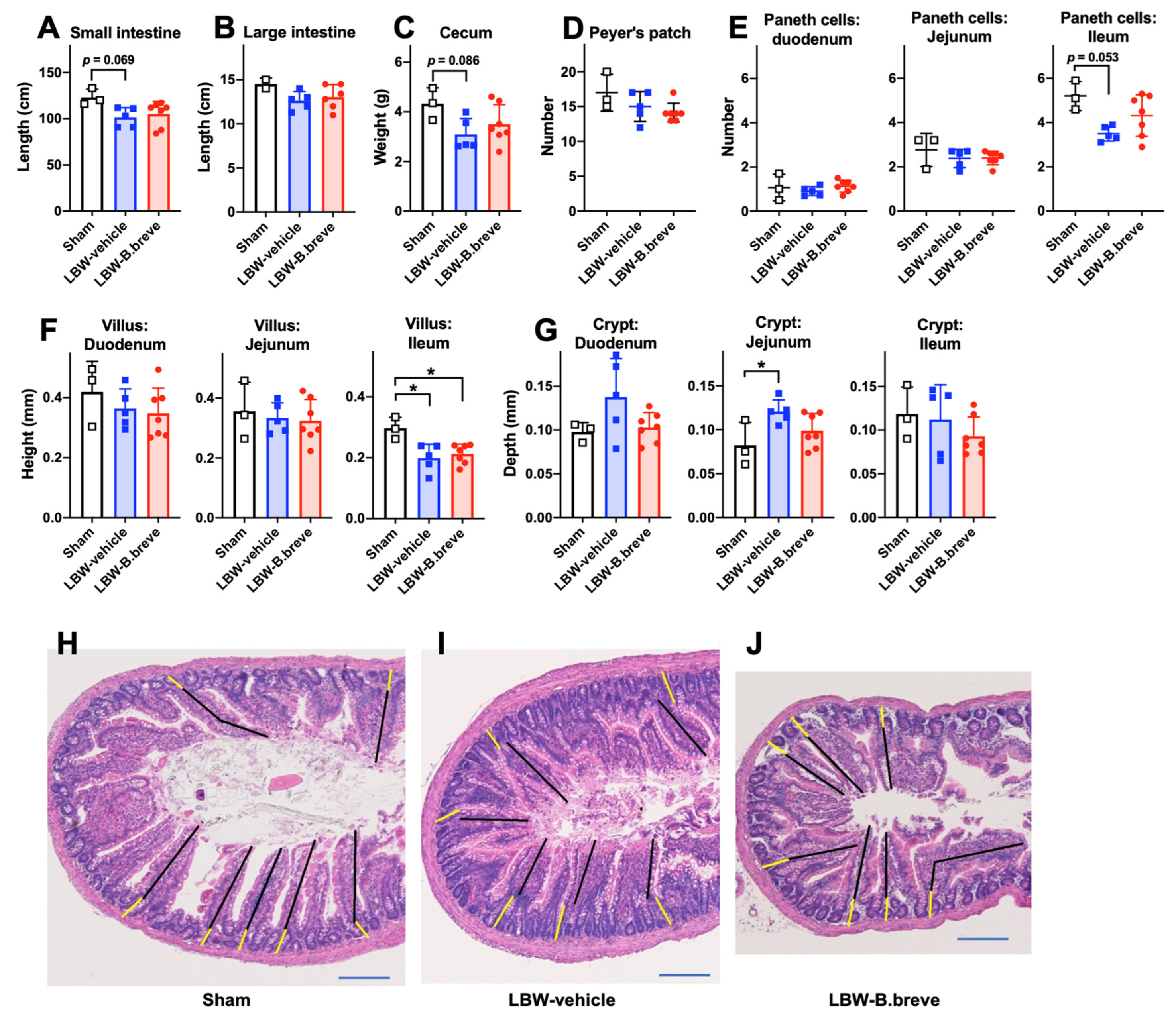 Life 13 02005 g004 Life 13 02005 g004