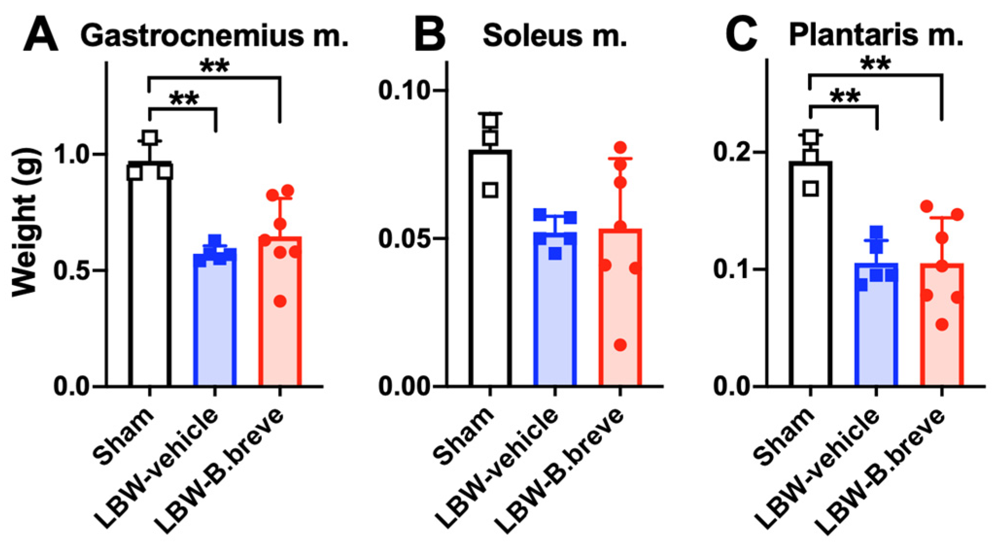 Life 13 02005 g005 Life 13 02005 g005