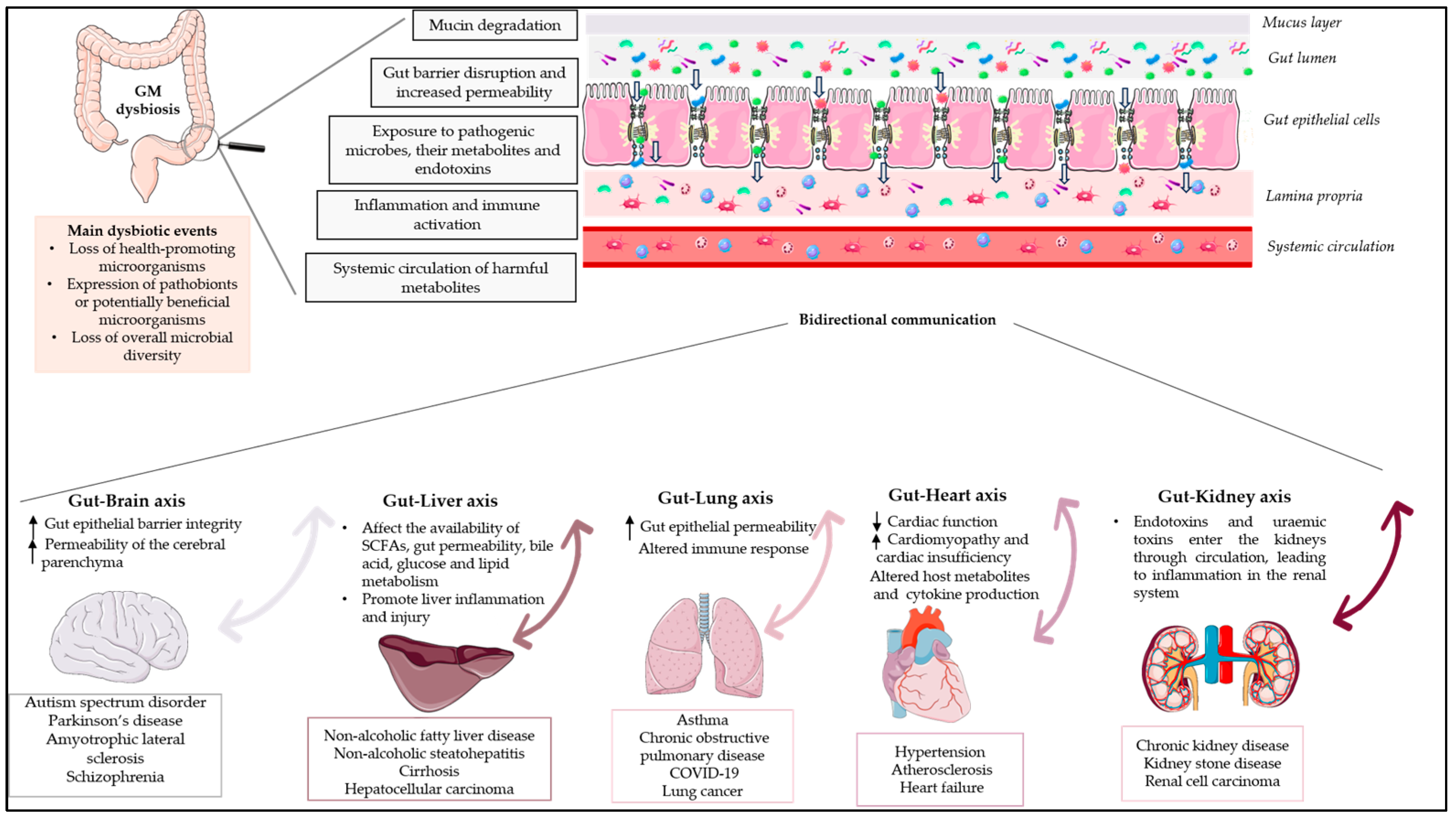 Life 13 02023 g001 Life 13 02023 g001