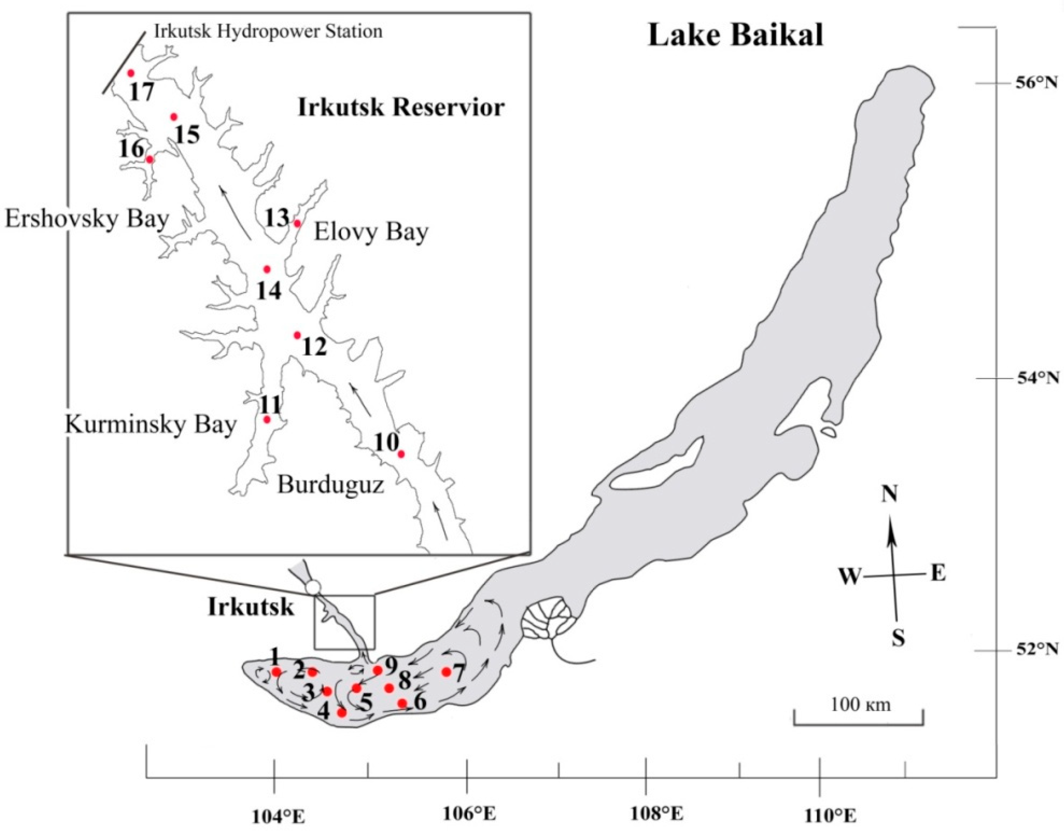 Life 13 02052 g001 Life 13 02052 g001