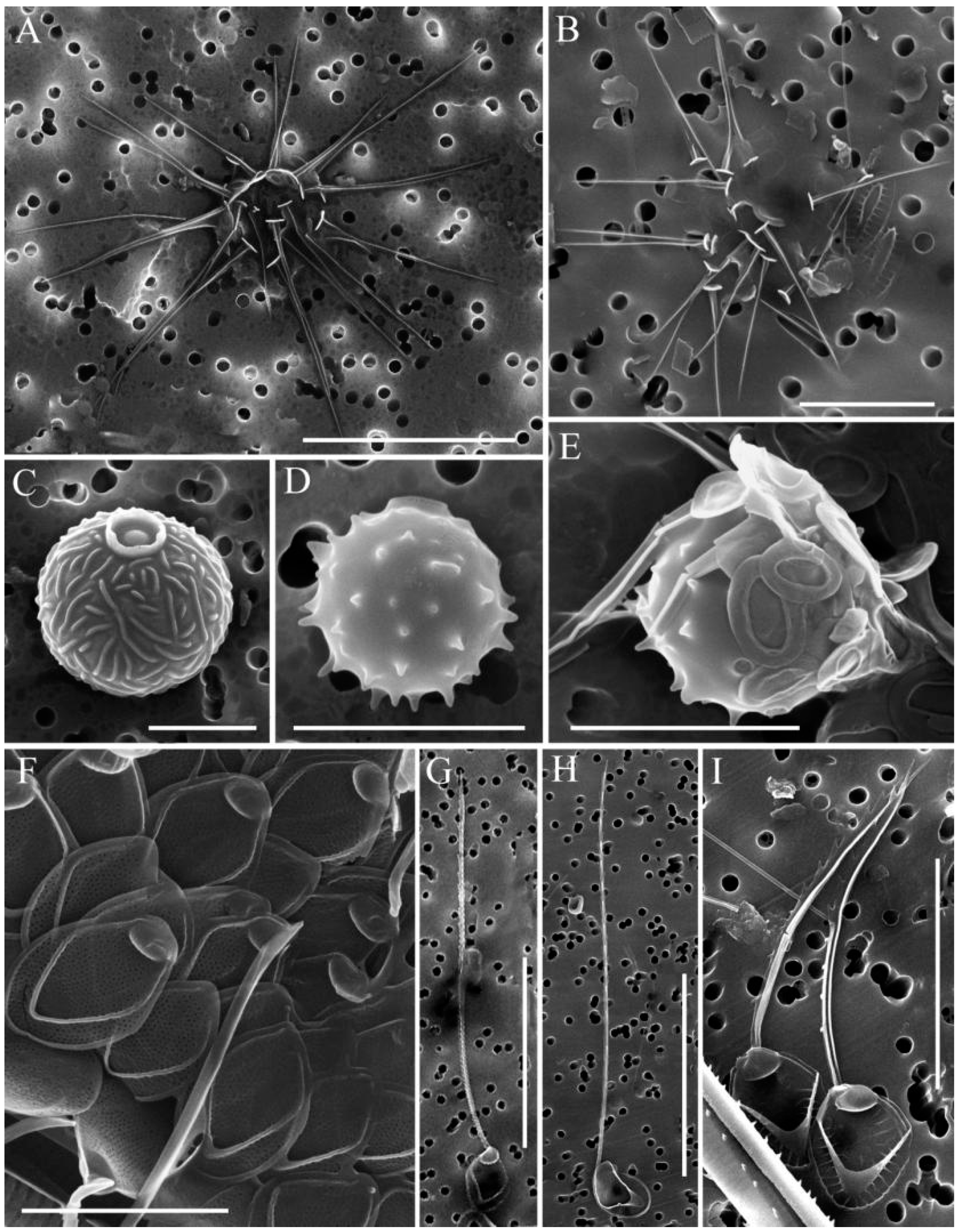 Life 13 02052 g004 Life 13 02052 g004