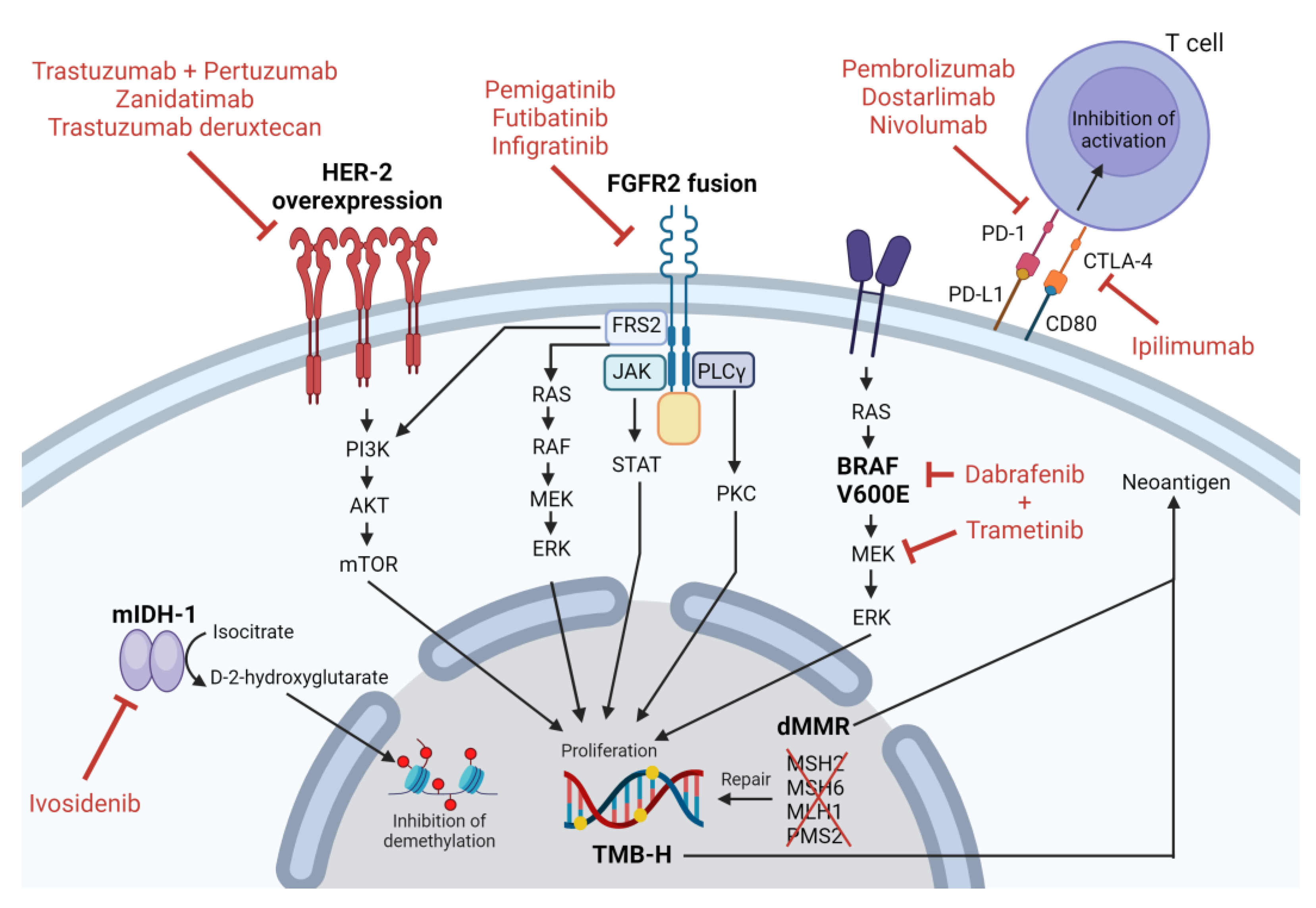 Life 13 02066 g002 Life 13 02066 g002