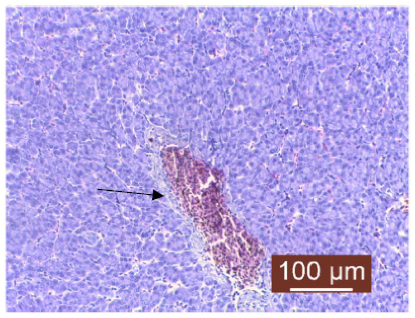 Life 13 02083 g011 Life 13 02083 g011