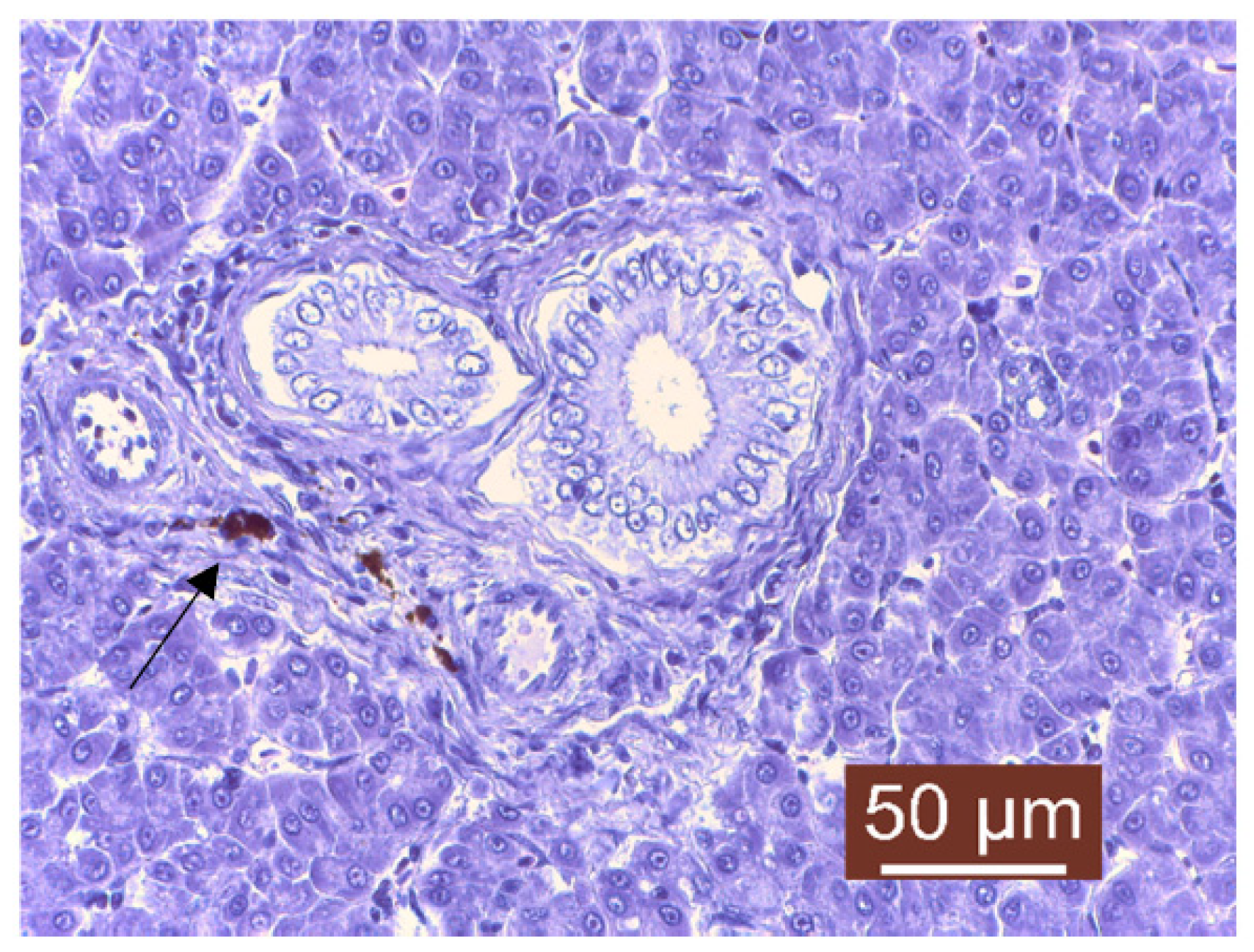 Life 13 02083 g012 Life 13 02083 g012