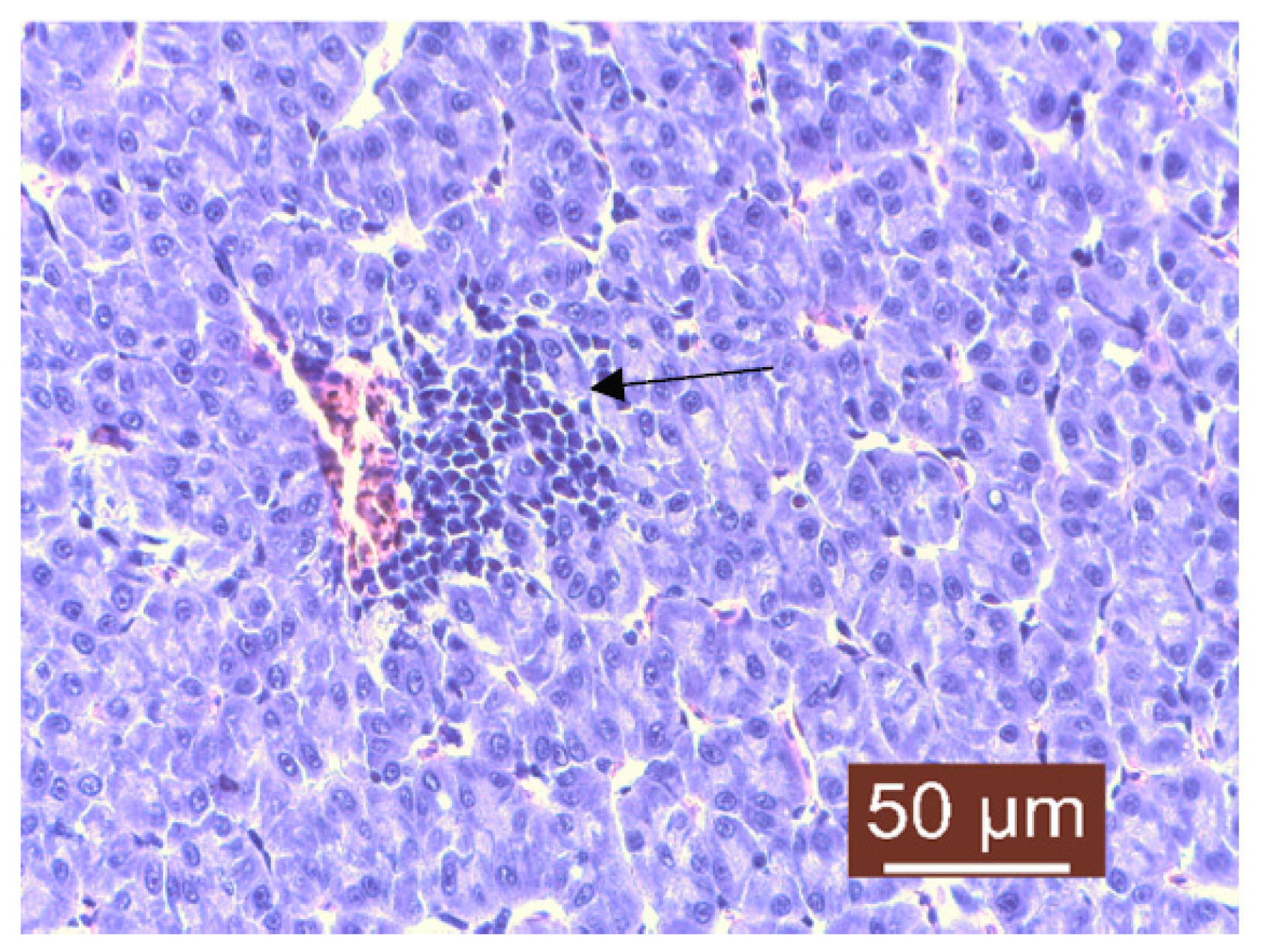 Life 13 02083 g013 Life 13 02083 g013