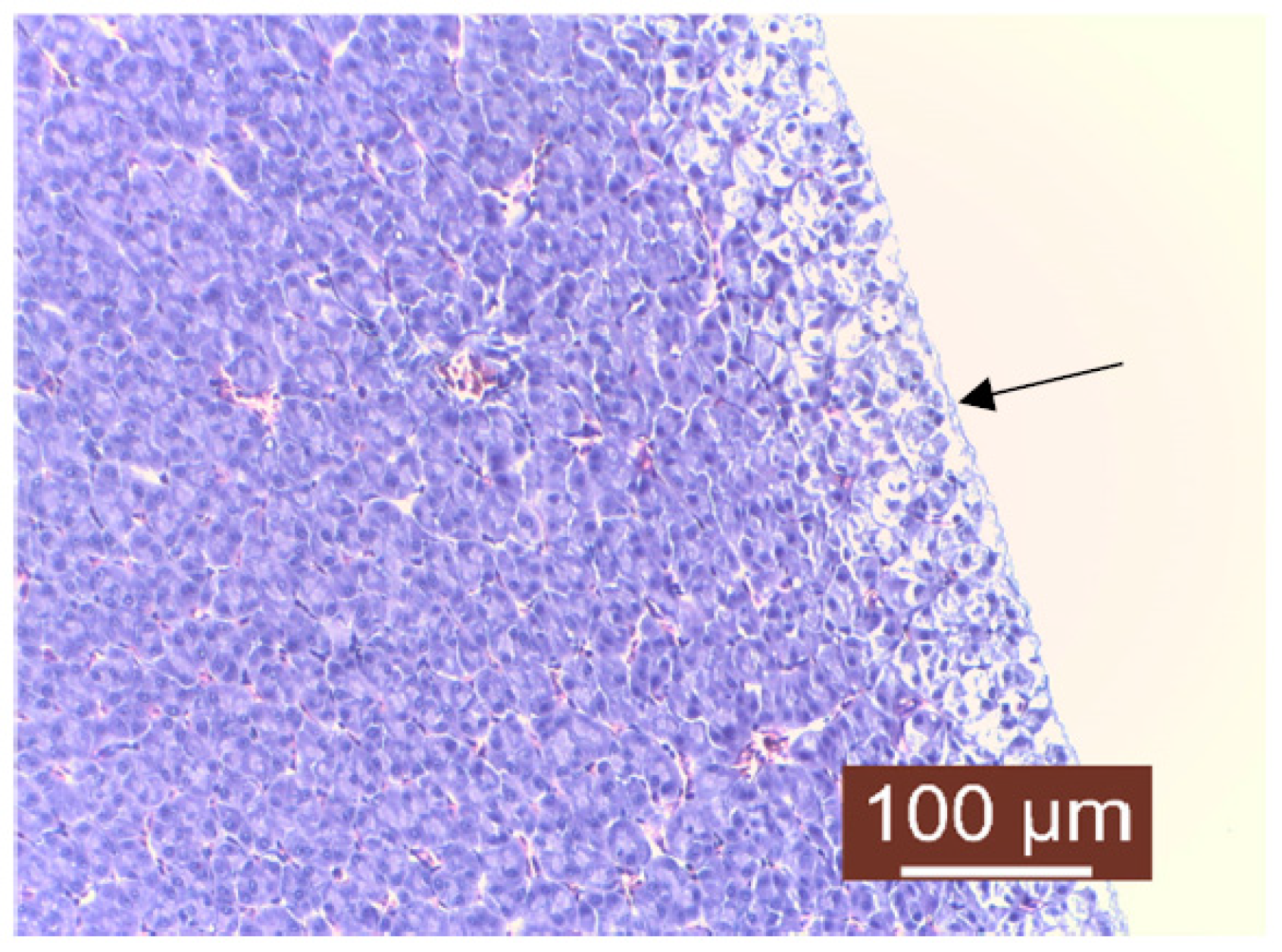 Life 13 02083 g015 Life 13 02083 g015