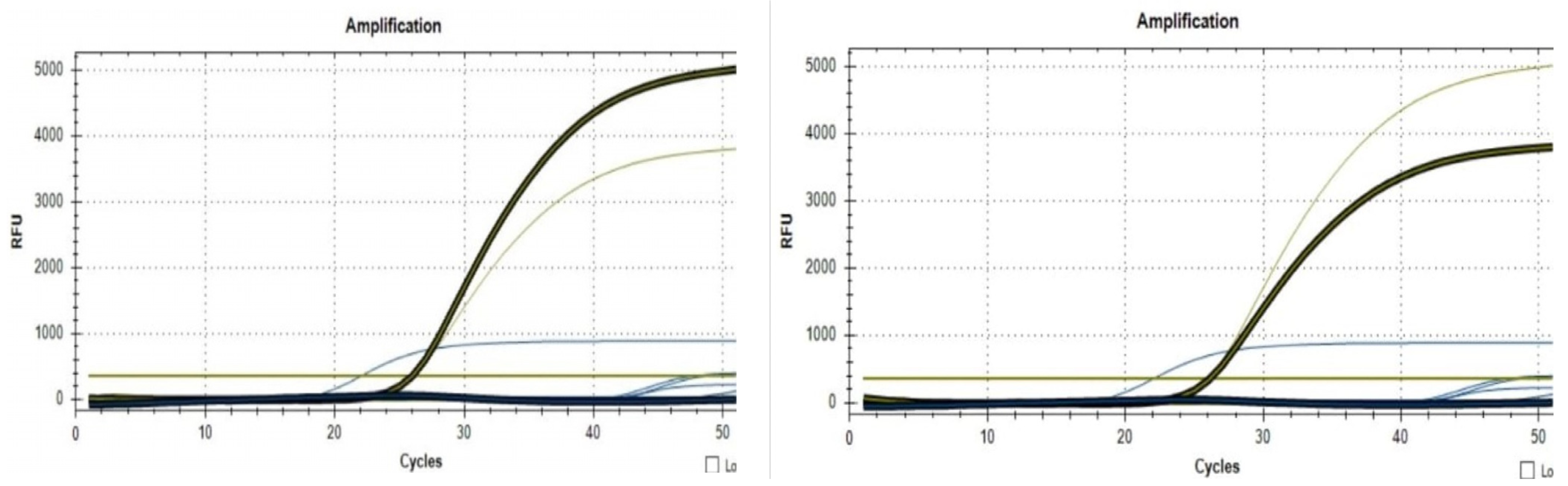 Life 13 02083 g018 Life 13 02083 g018