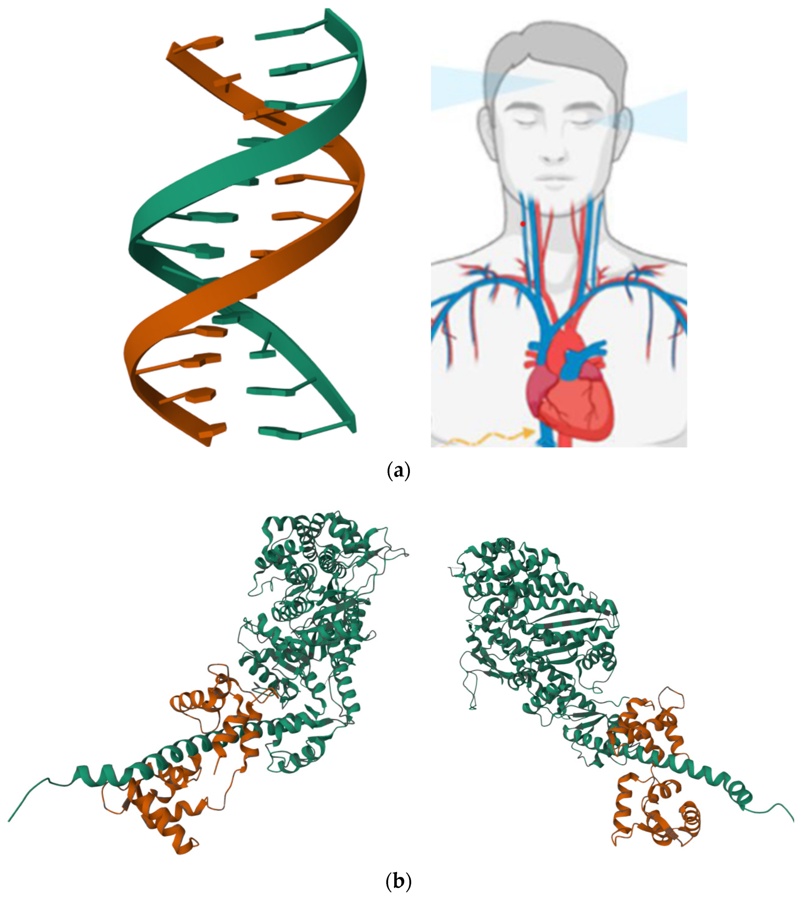 Life 13 02127 g002 Life 13 02127 g002