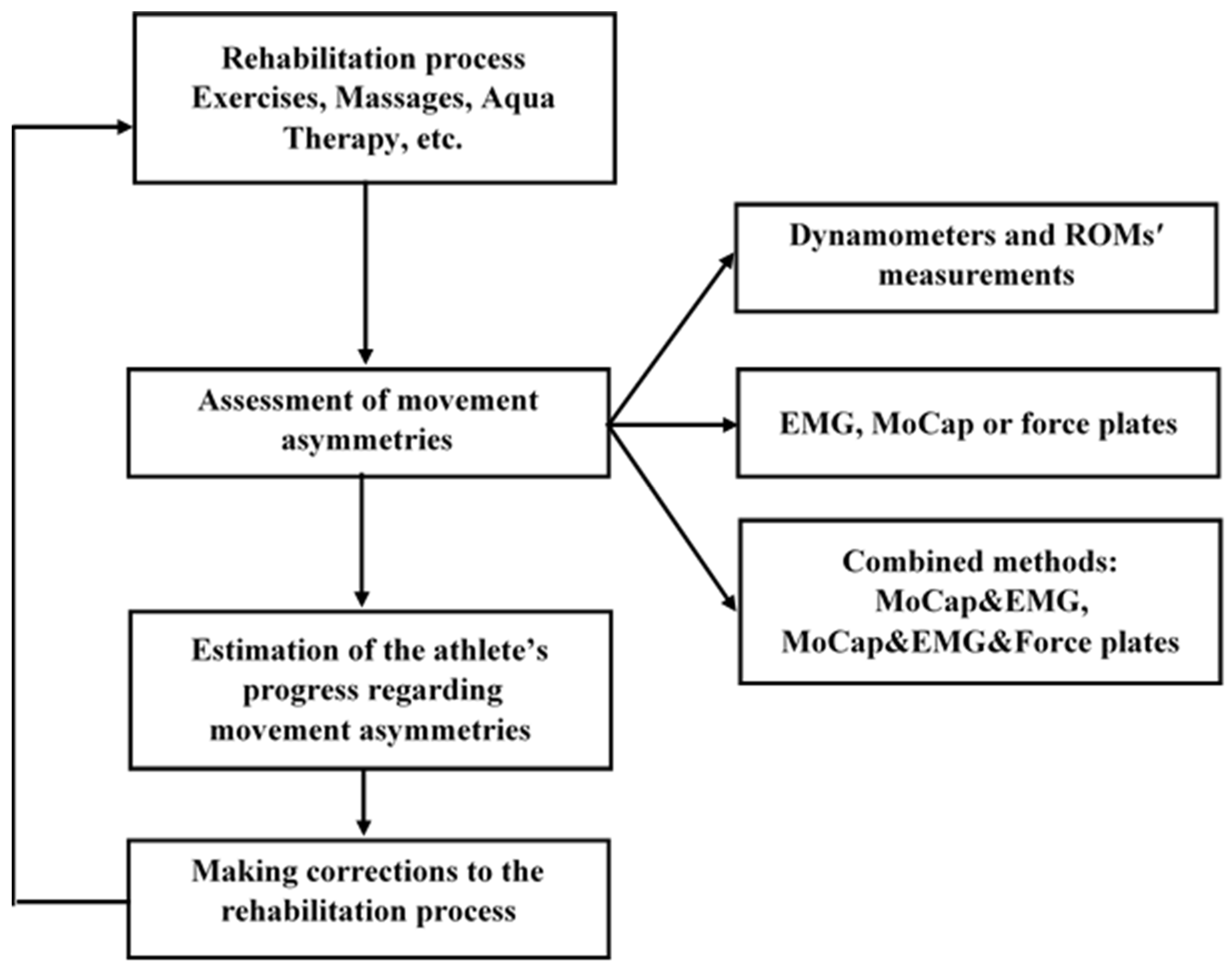 Life 13 02127 g004 Life 13 02127 g004