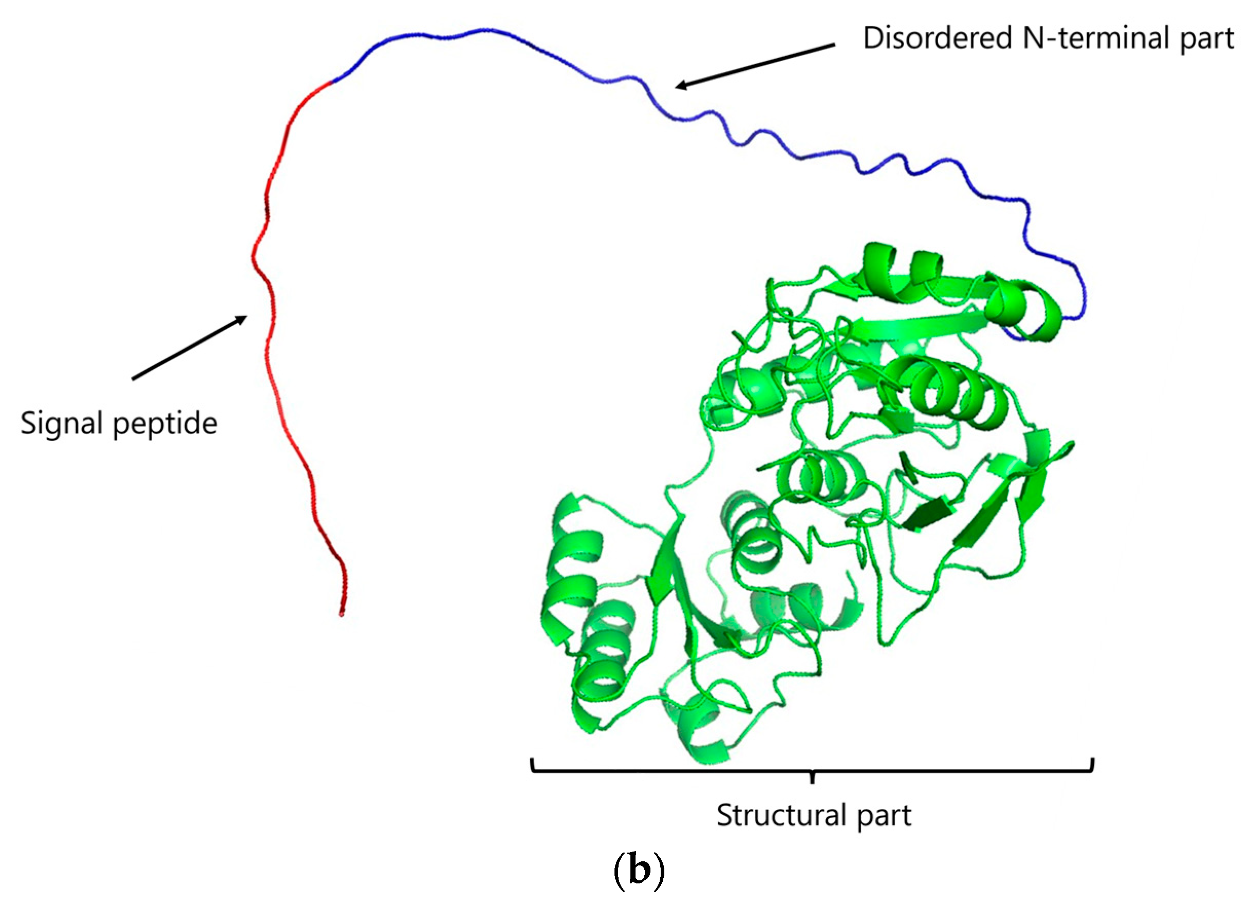 Life 13 02145 g001b Life 13 02145 g001b