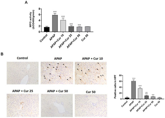 ERK/NF-kB/COX-2 Signaling Pathway Plays a Key Role in