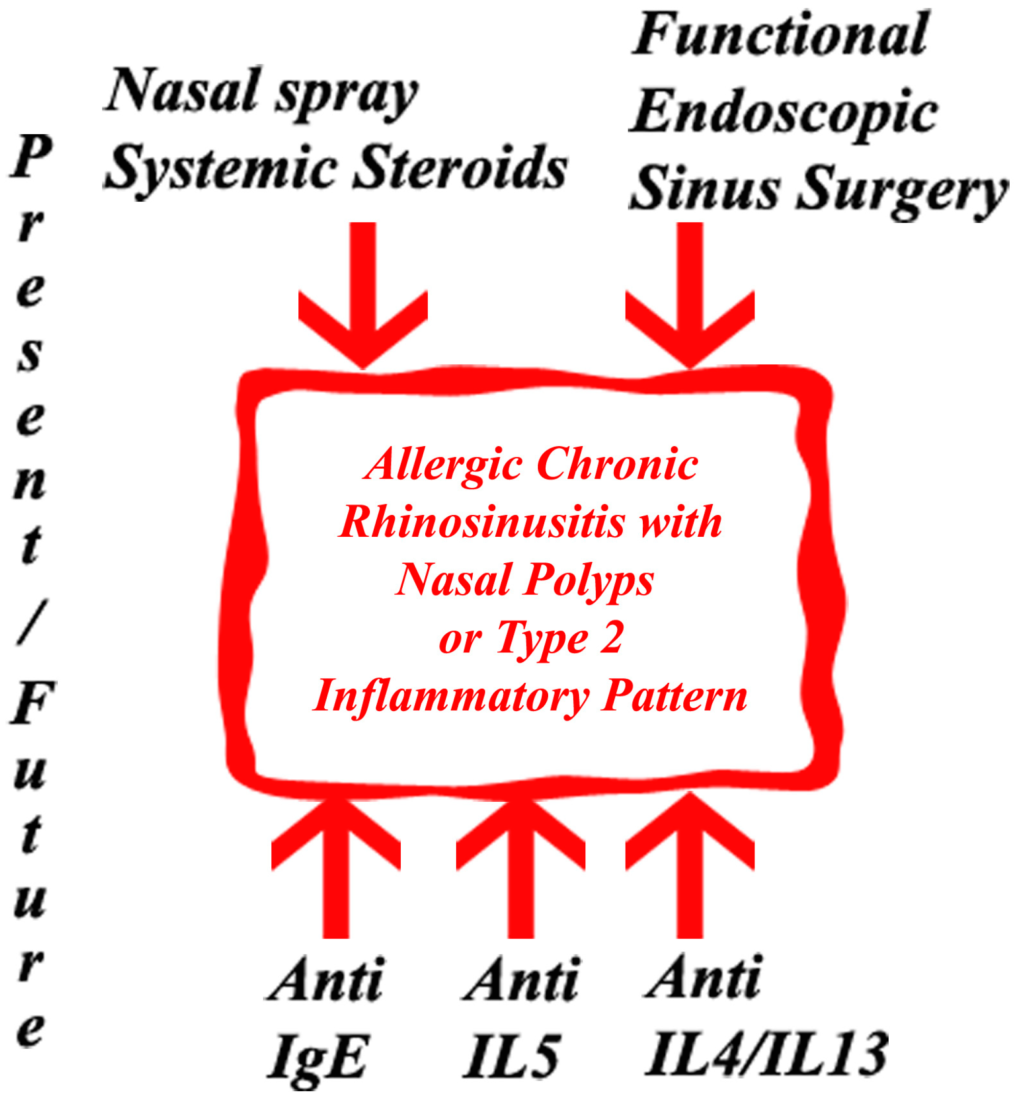 Mepolizumab for chronic rhinosinusitis with nasal polyps (SYNAPSE