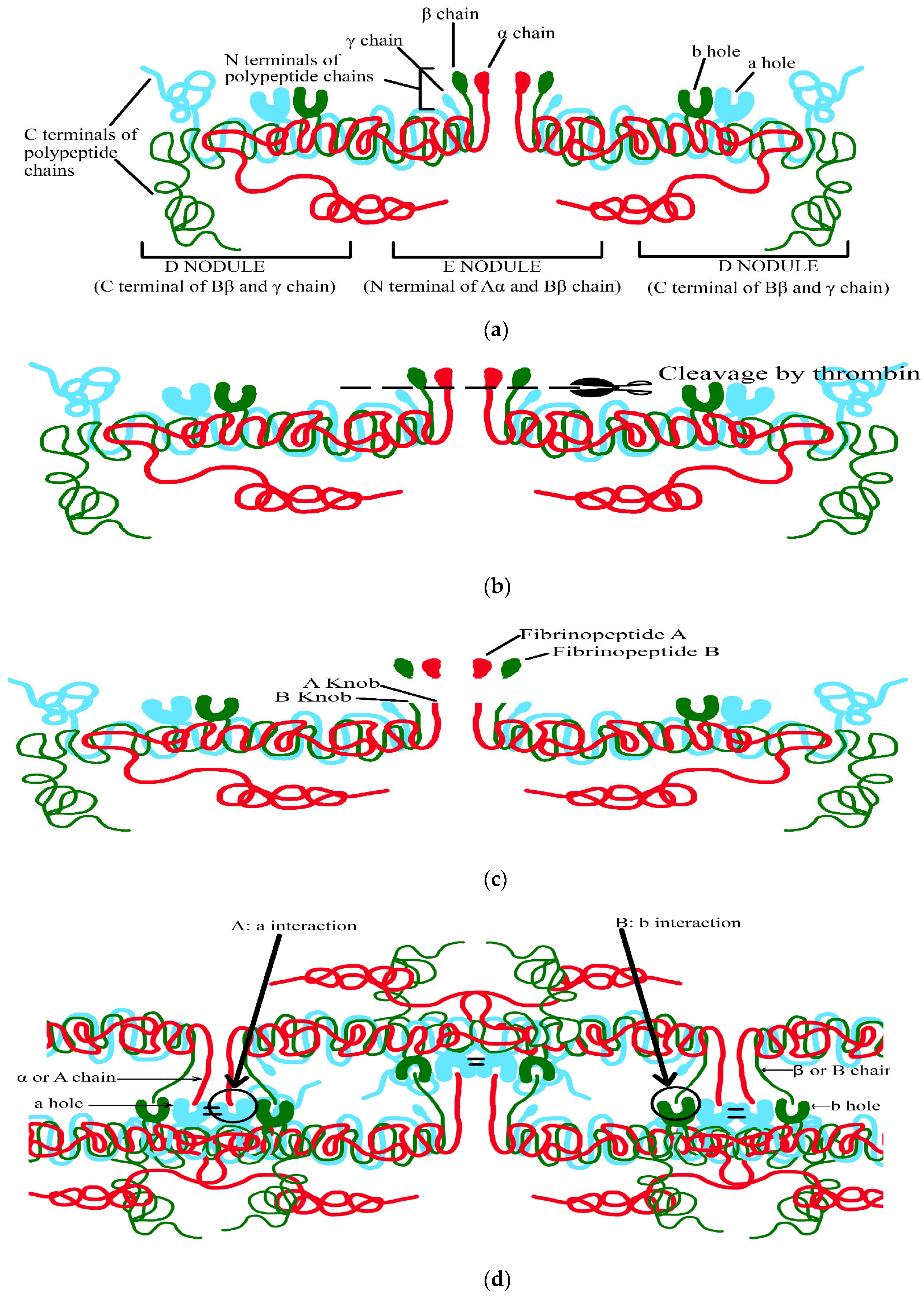 Life 13 02196 g002a Life 13 02196 g002a