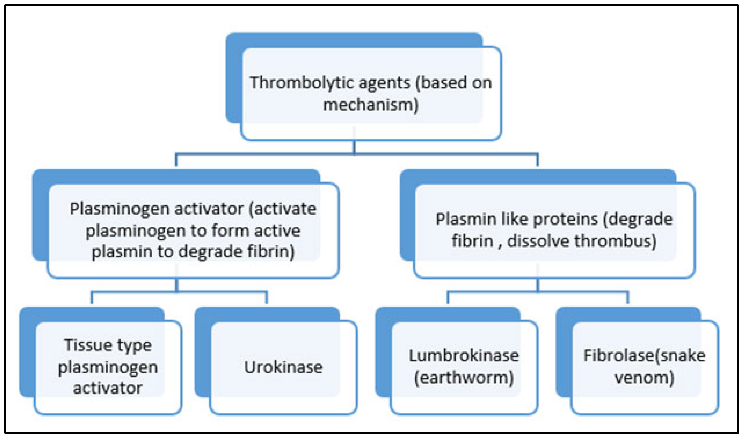 Life 13 02196 g003 Life 13 02196 g003