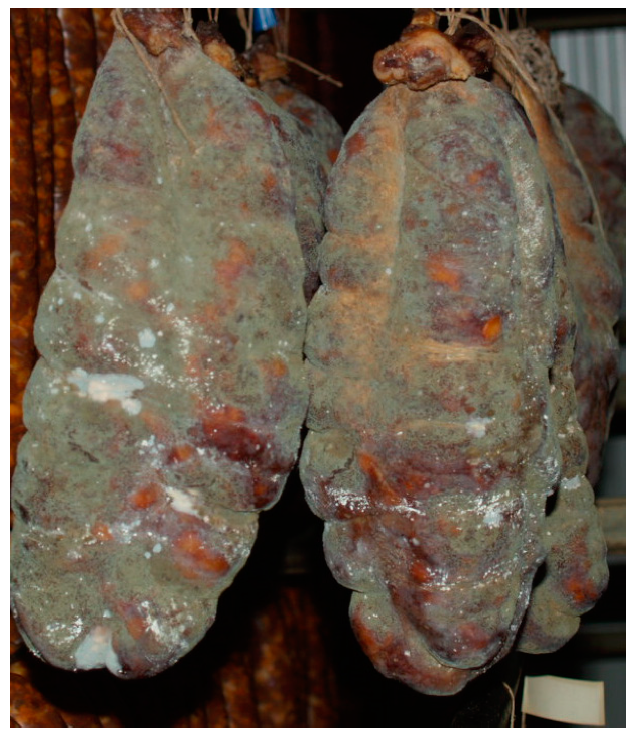 Life 13 02211 g001 Life 13 02211 g001