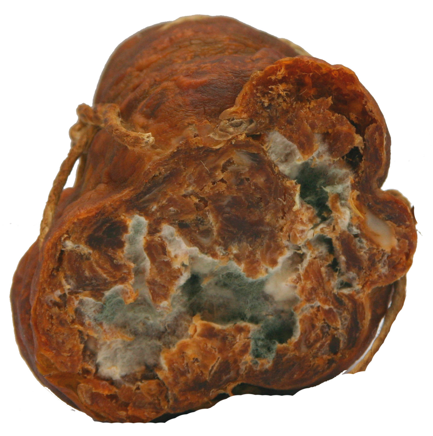 Life 13 02211 g003 Life 13 02211 g003