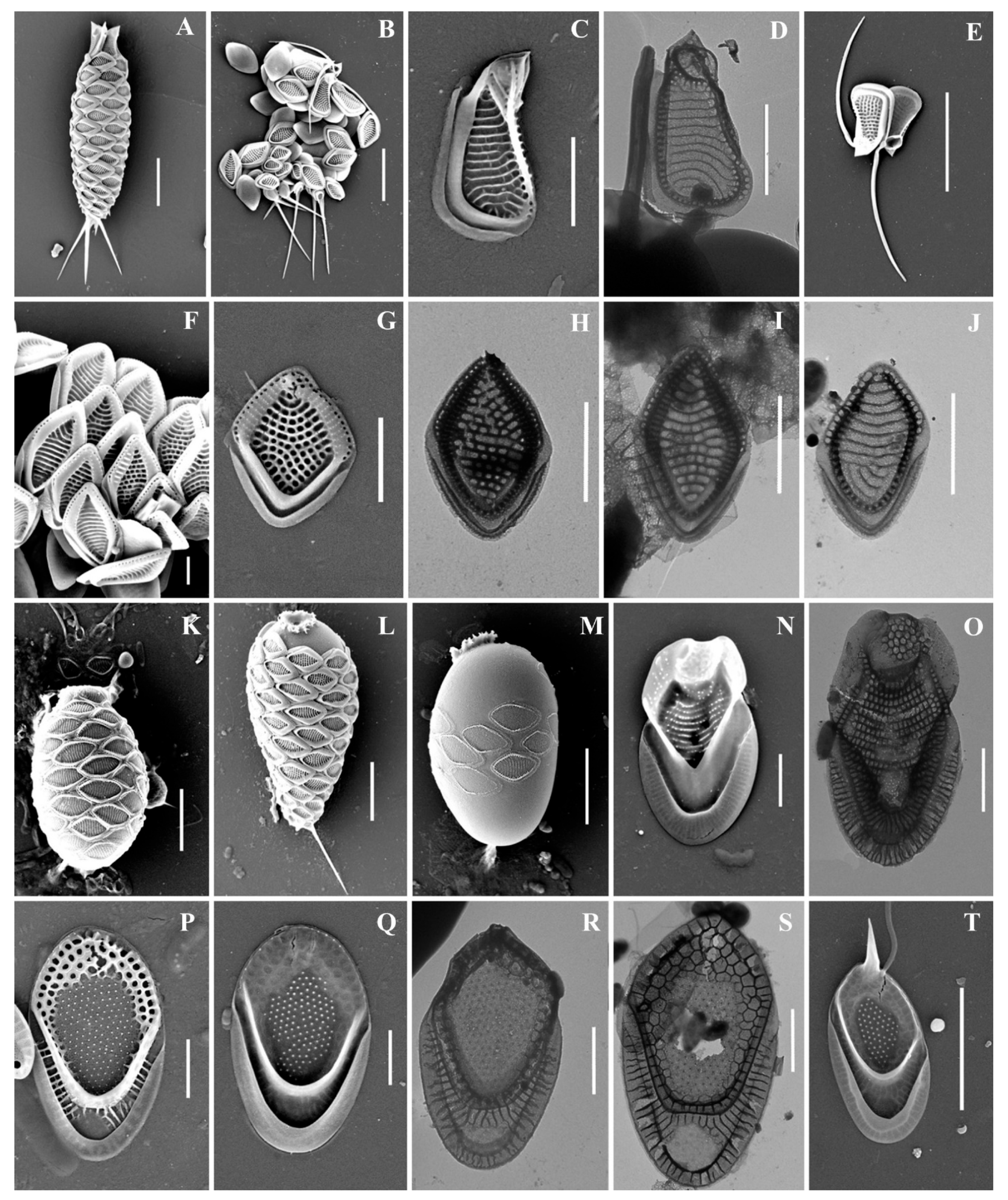 Life 13 02214 g003 Life 13 02214 g003