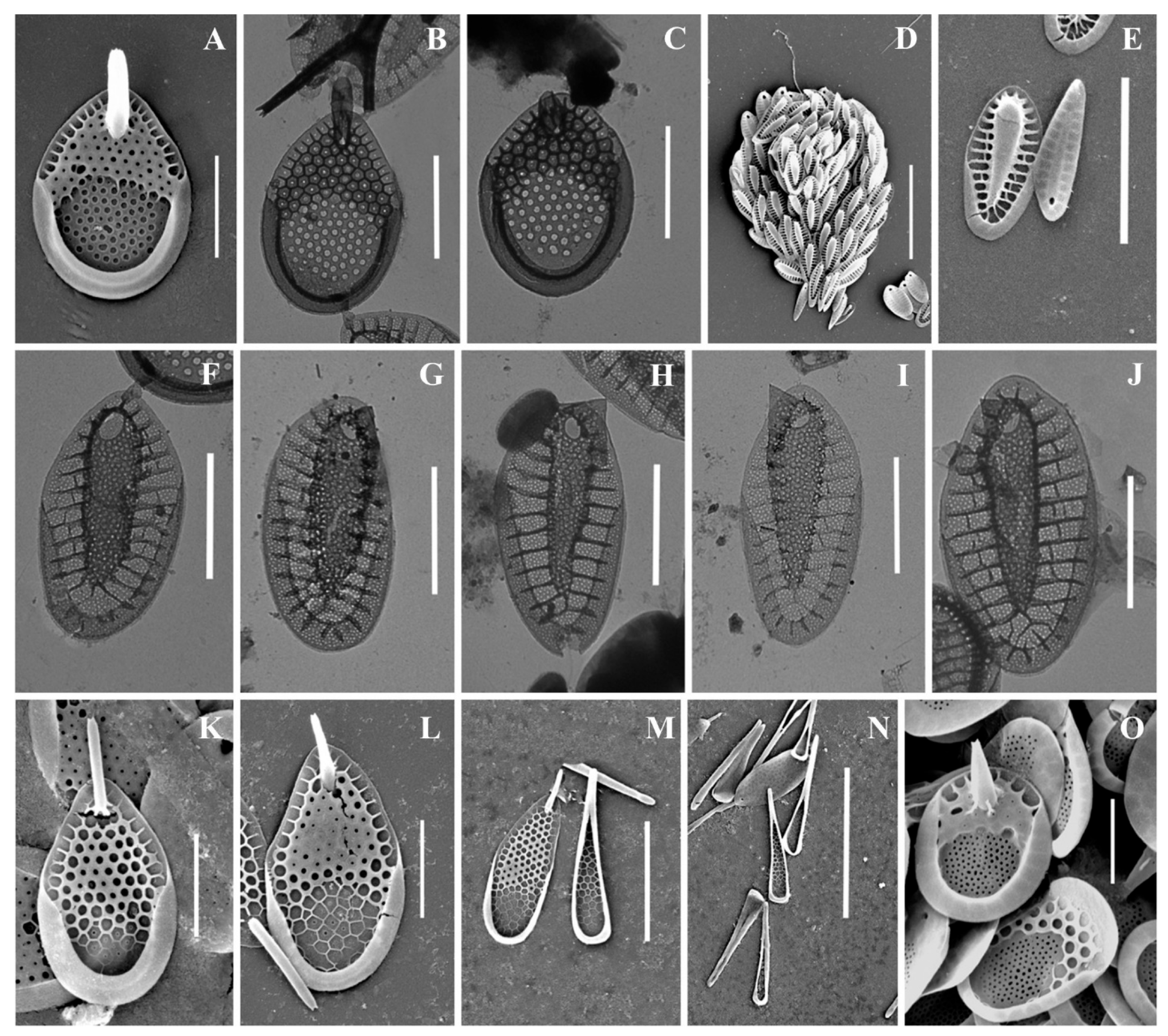 Life 13 02214 g006 Life 13 02214 g006