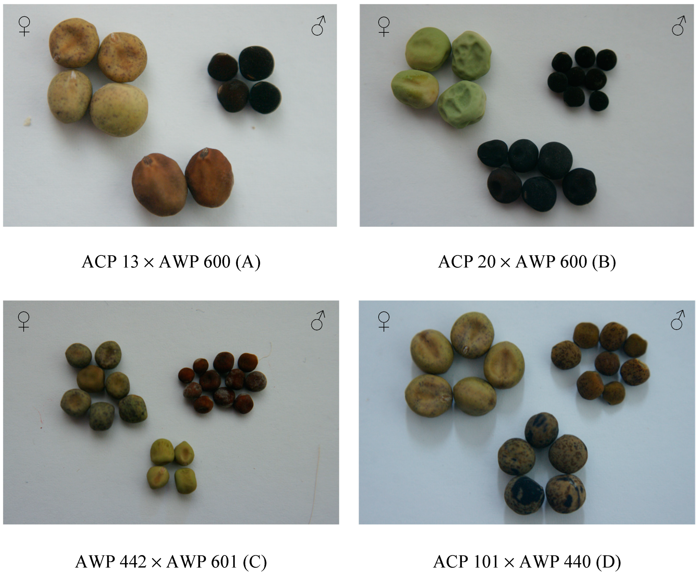 Life 13 02222 g003 Life 13 02222 g003