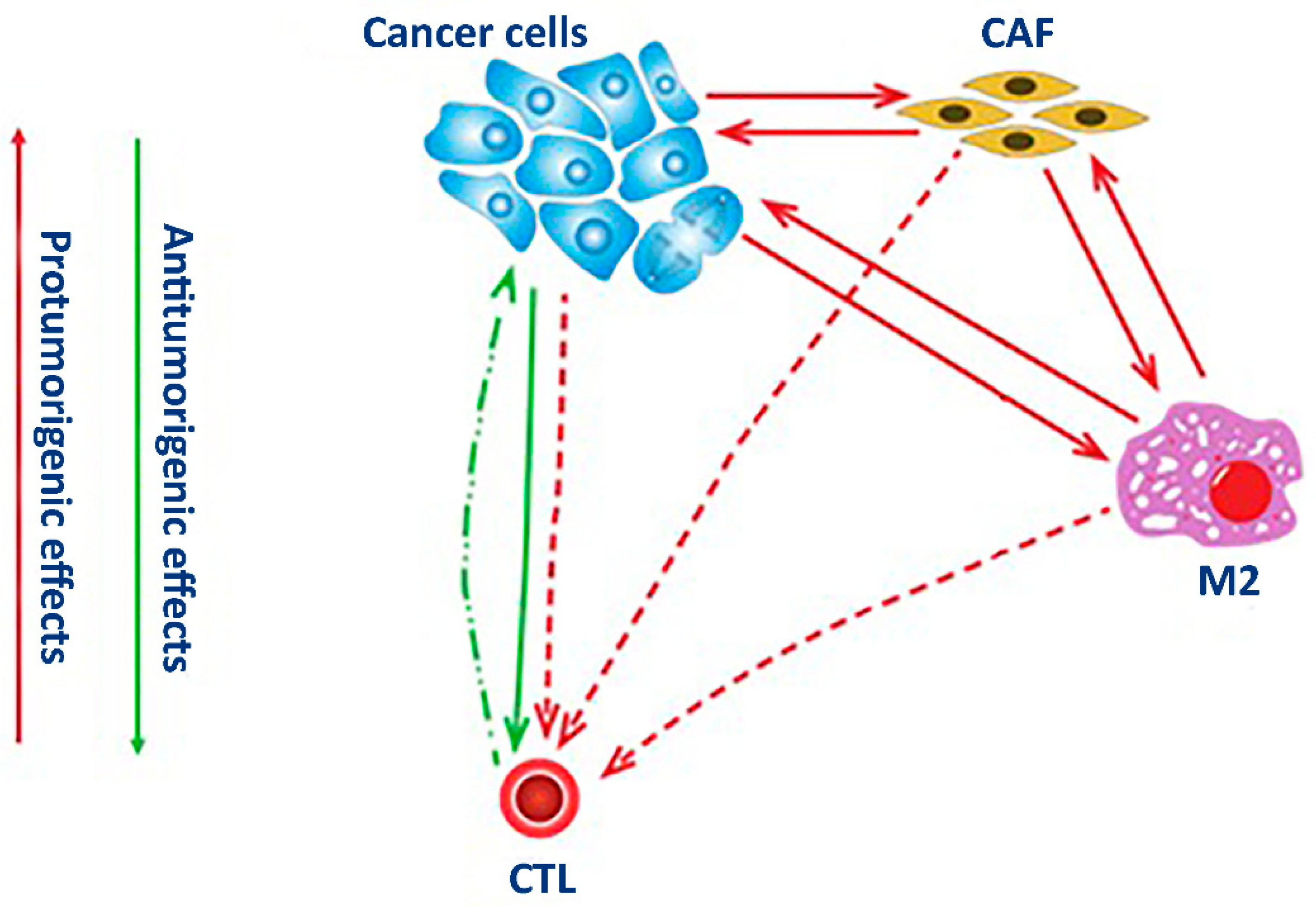 Life 13 02228 g001 Life 13 02228 g001