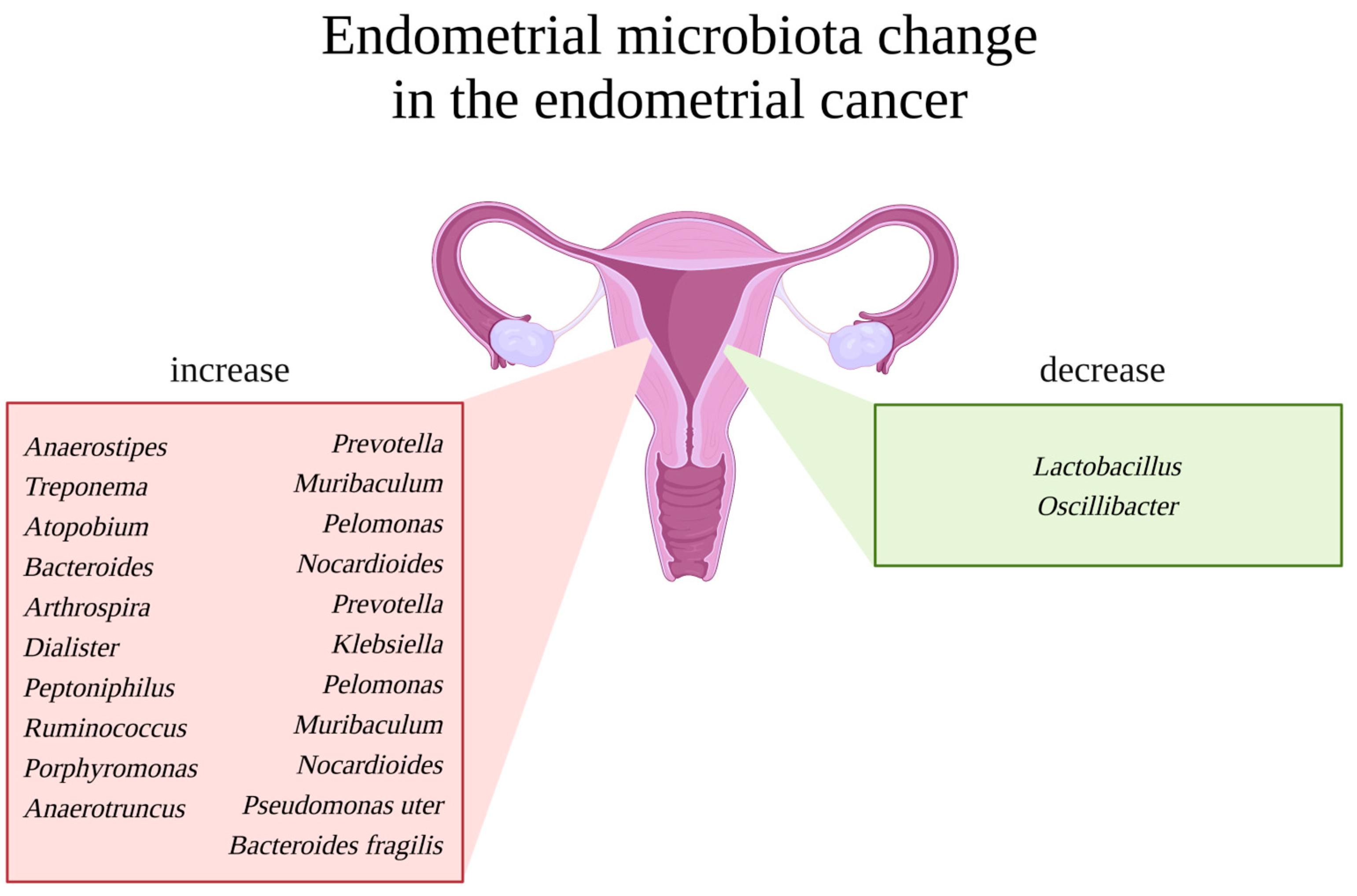 Life 13 02269 g002 Life 13 02269 g002