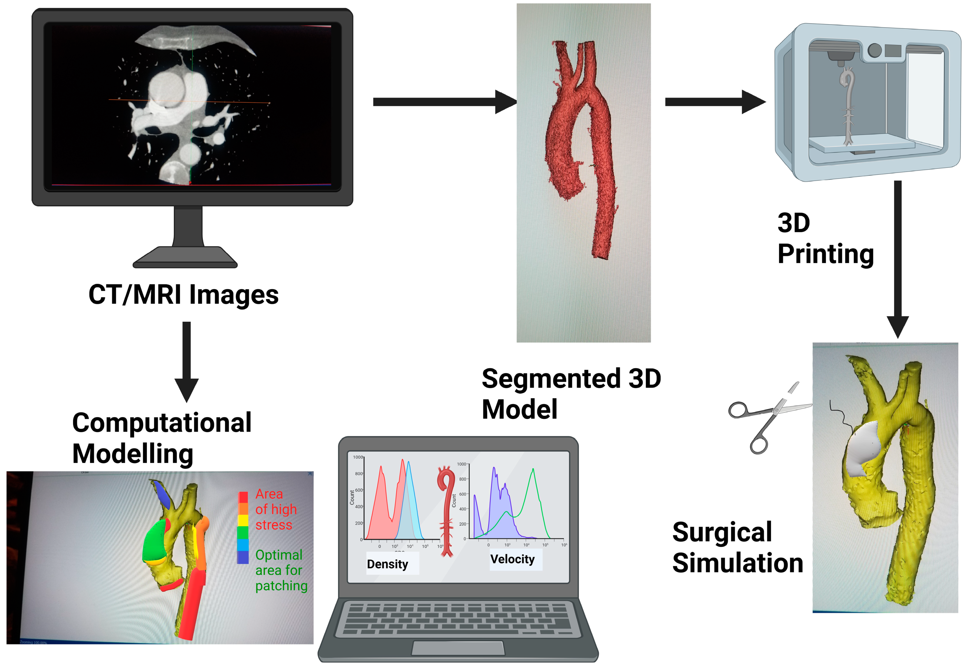 Life 13 02295 g001 Life 13 02295 g001