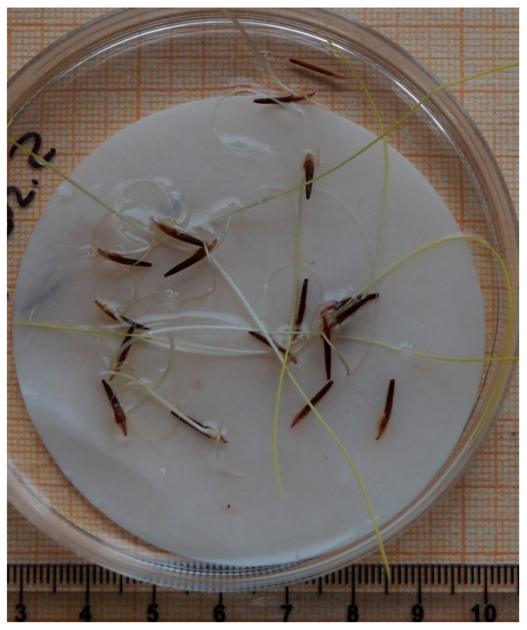 Life 13 02296 g002 Life 13 02296 g002