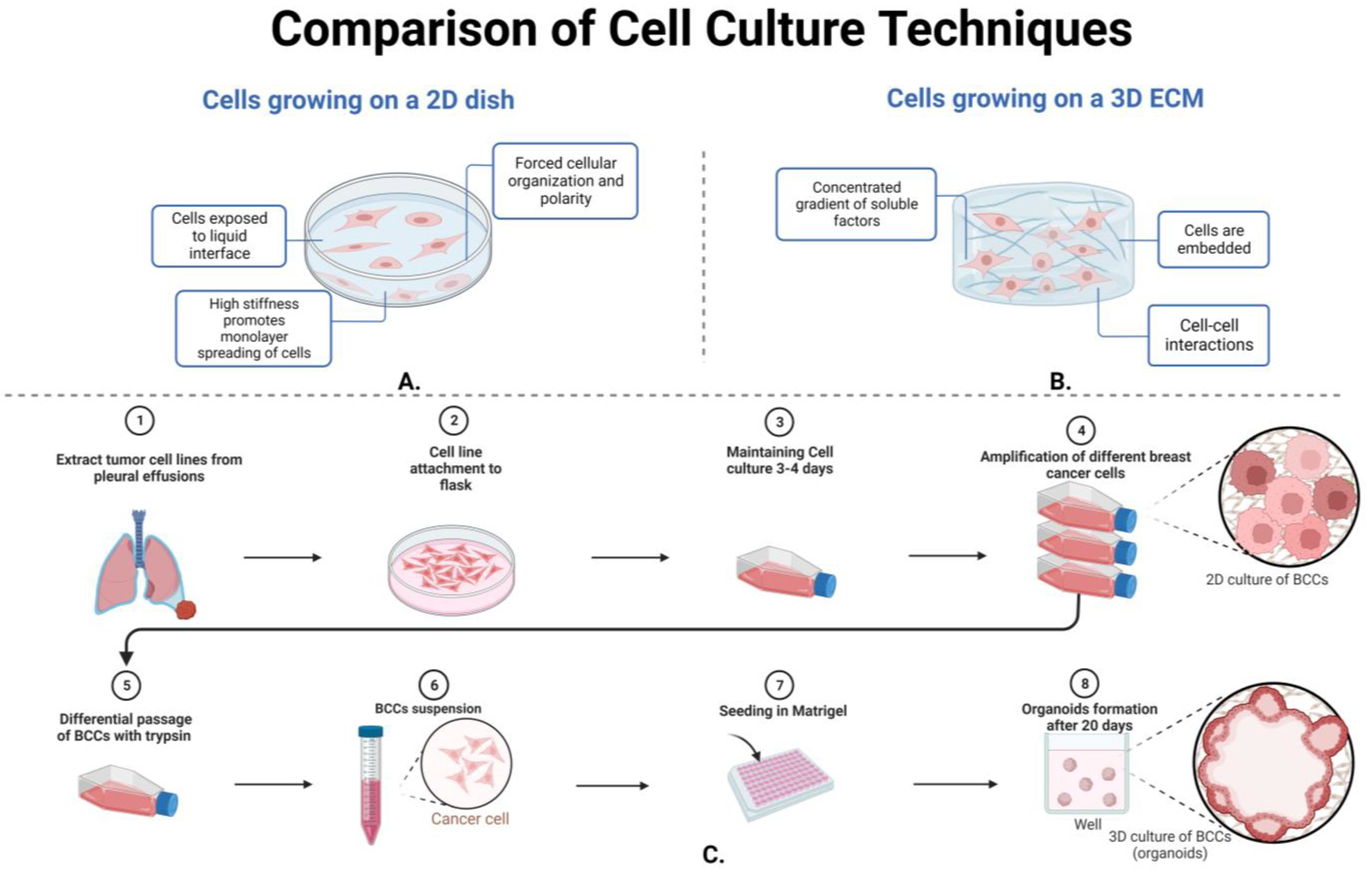 Life 13 02311 g005 Life 13 02311 g005