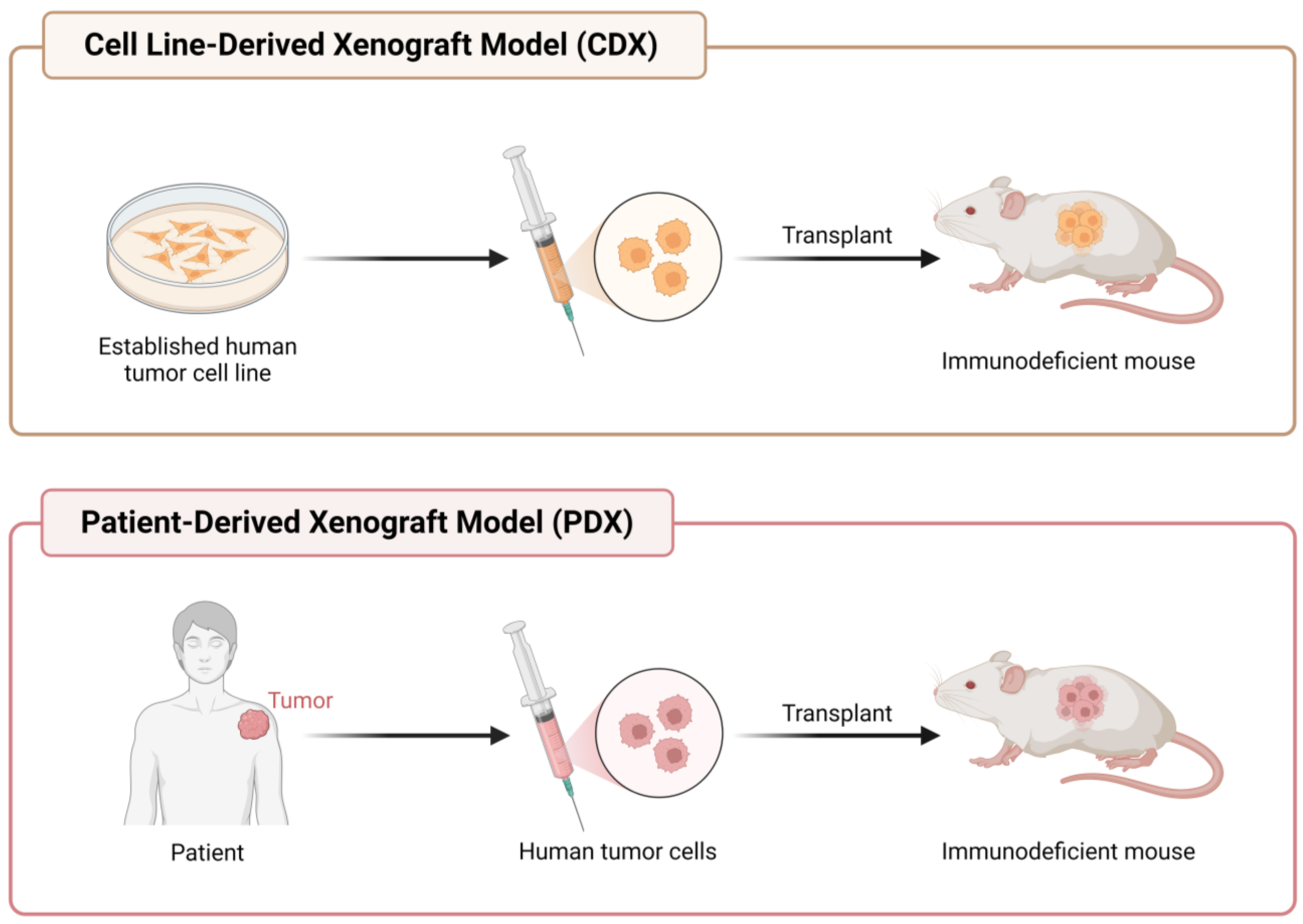 Life 13 02311 g006 Life 13 02311 g006