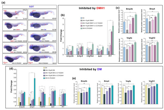 Life | free full-text | agaricus bisporus-derived glucosamine