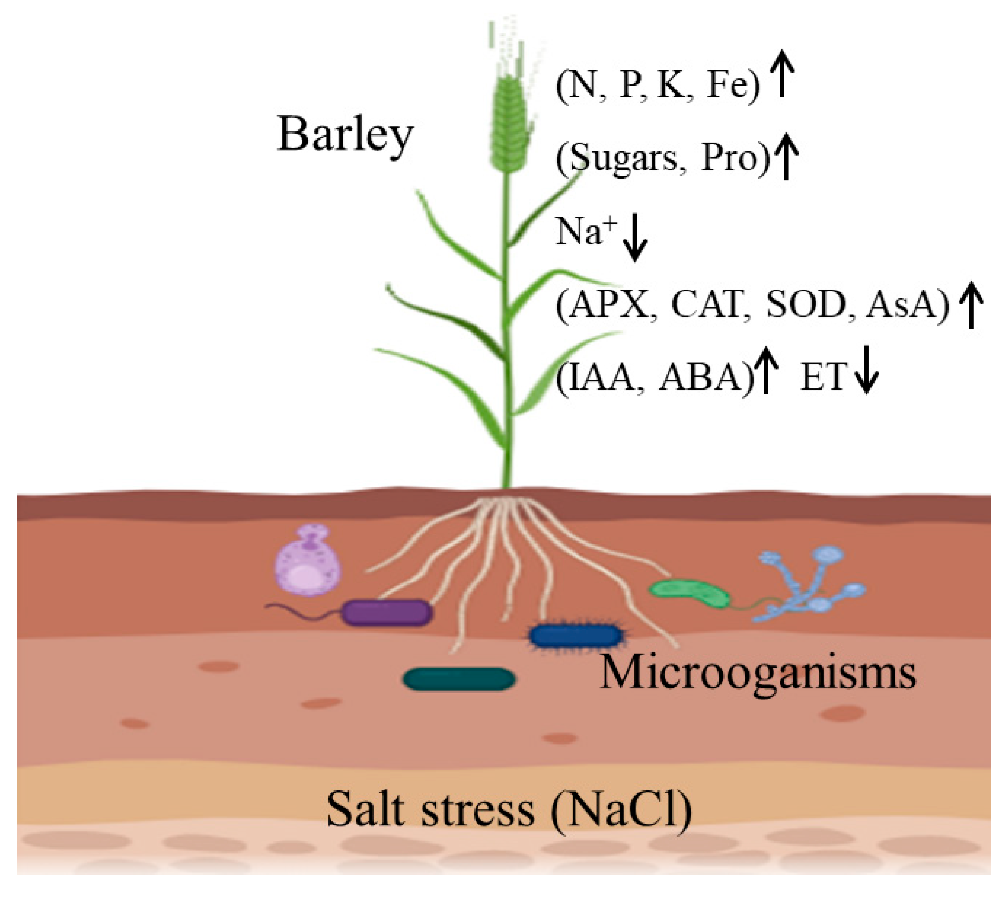 Life Free FullText Advances in Identifying the Mechanisms by Which