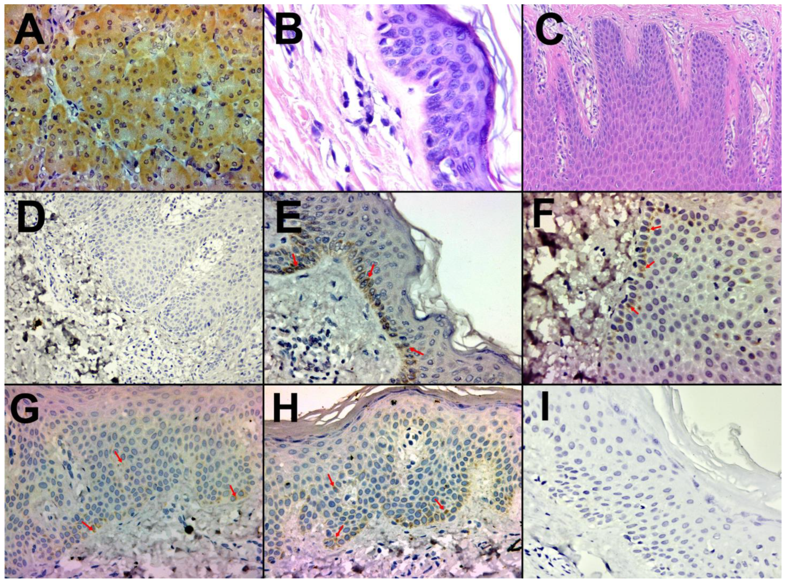 Life 14 00015 g002 Life 14 00015 g002
