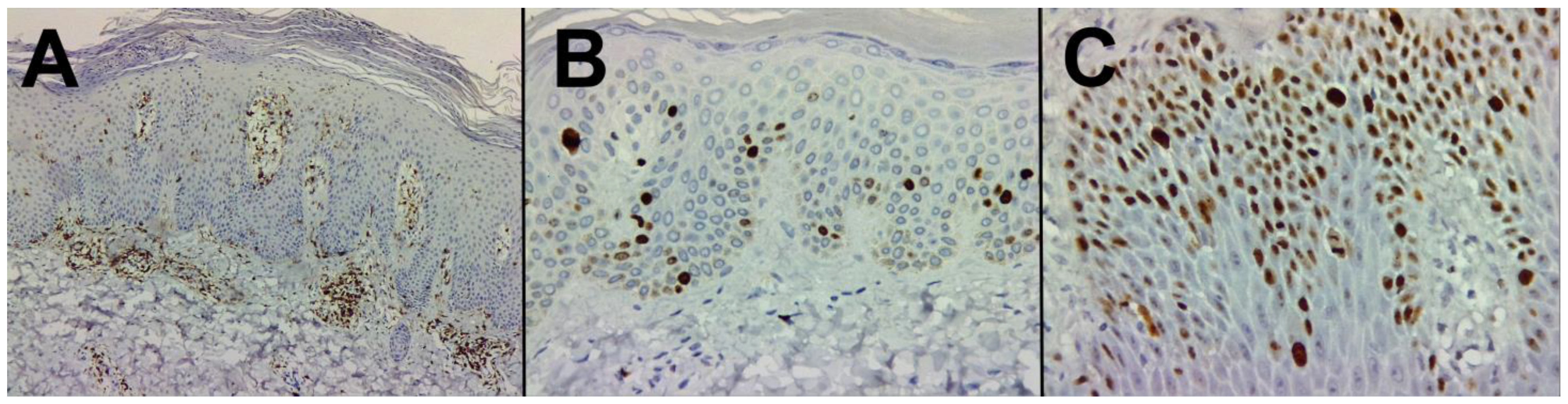 Life 14 00015 g004 Life 14 00015 g004