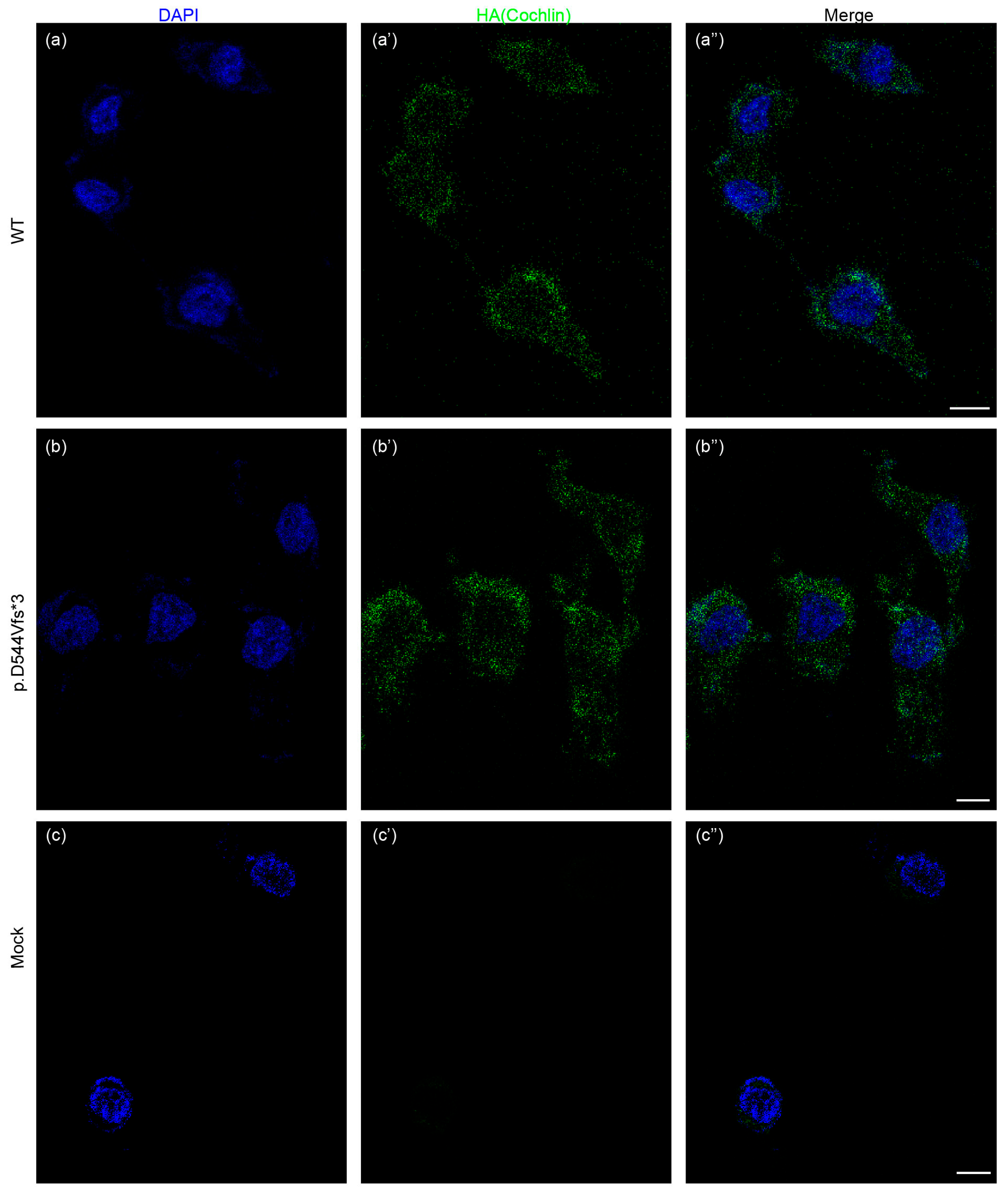 Life 14 00033 g003 Life 14 00033 g003