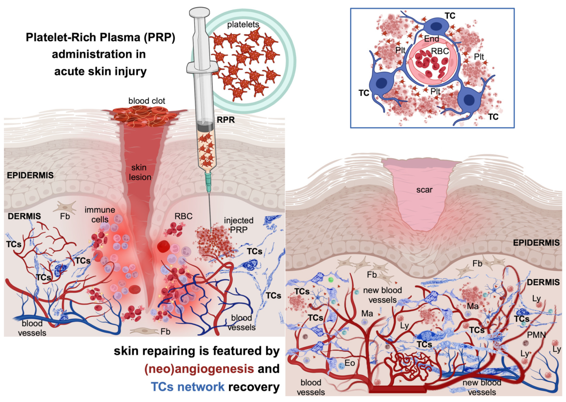 Life 14 00040 g005 Life 14 00040 g005