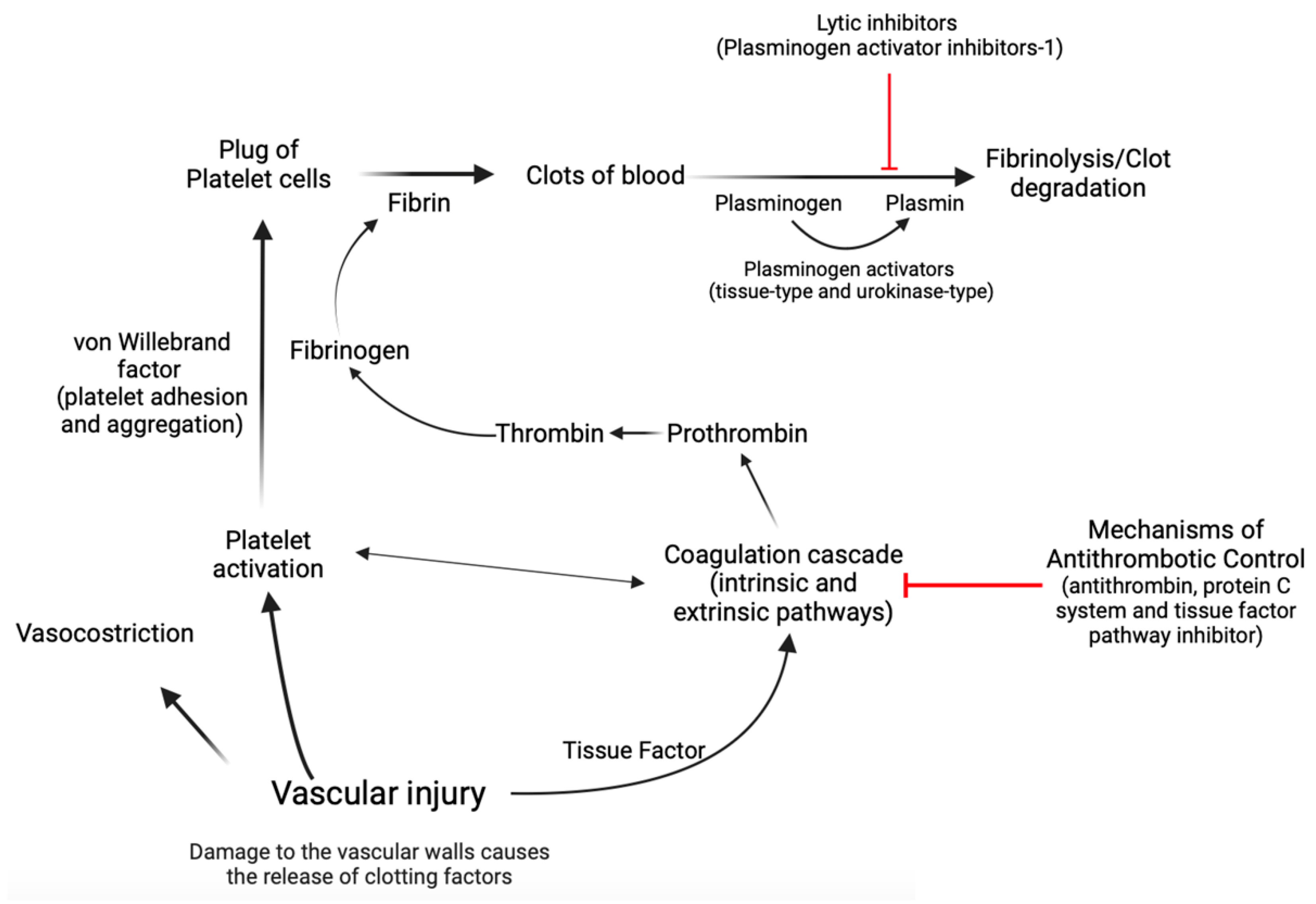 Life 14 00093 g002 Life 14 00093 g002