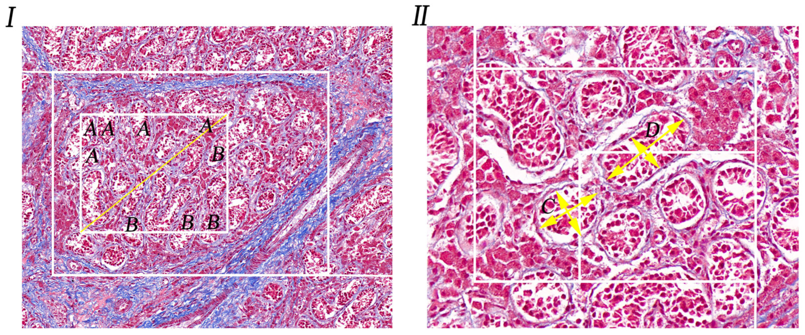 Life 14 00100 g001 Life 14 00100 g001