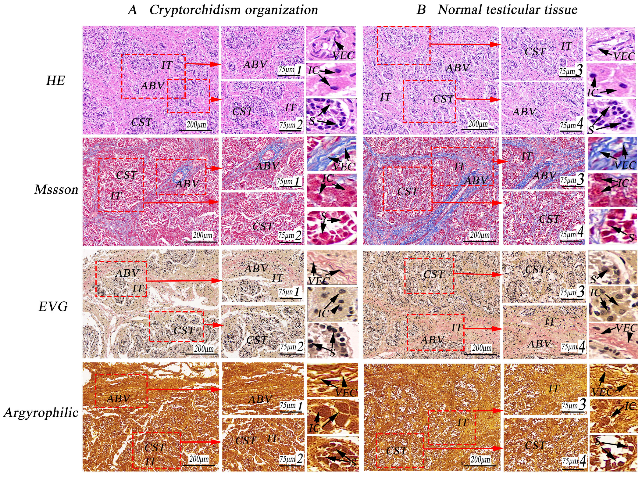 Life 14 00100 g002 Life 14 00100 g002