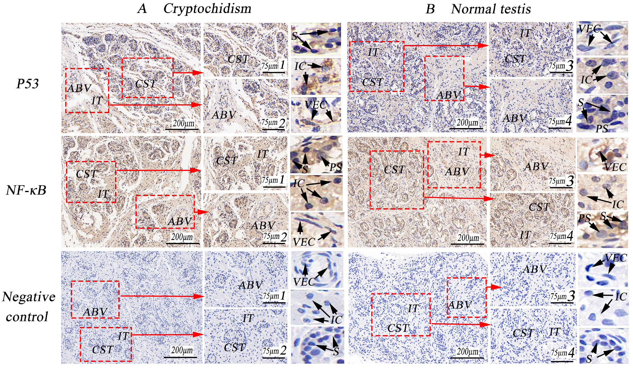 Life 14 00100 g006 Life 14 00100 g006