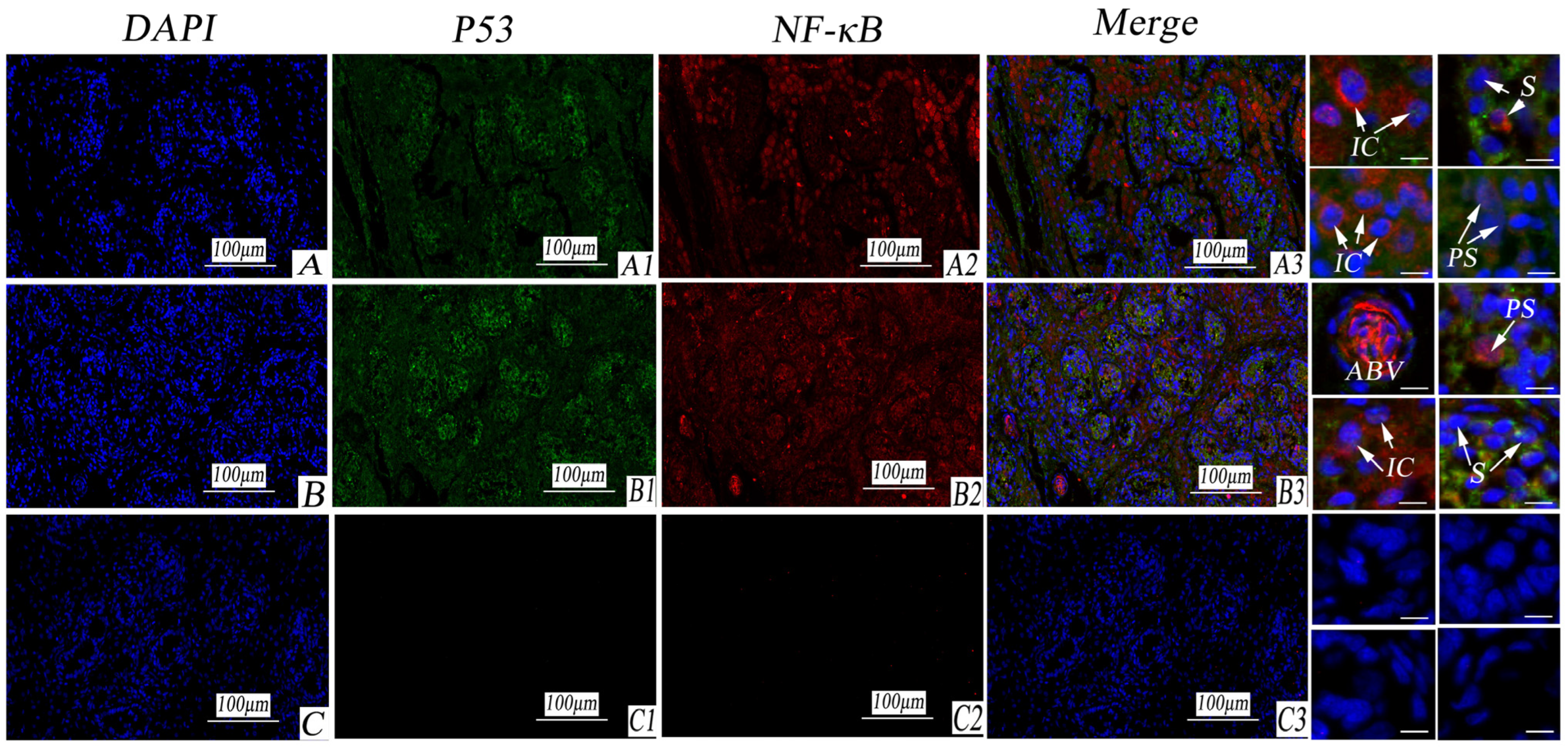 Life 14 00100 g008 Life 14 00100 g008