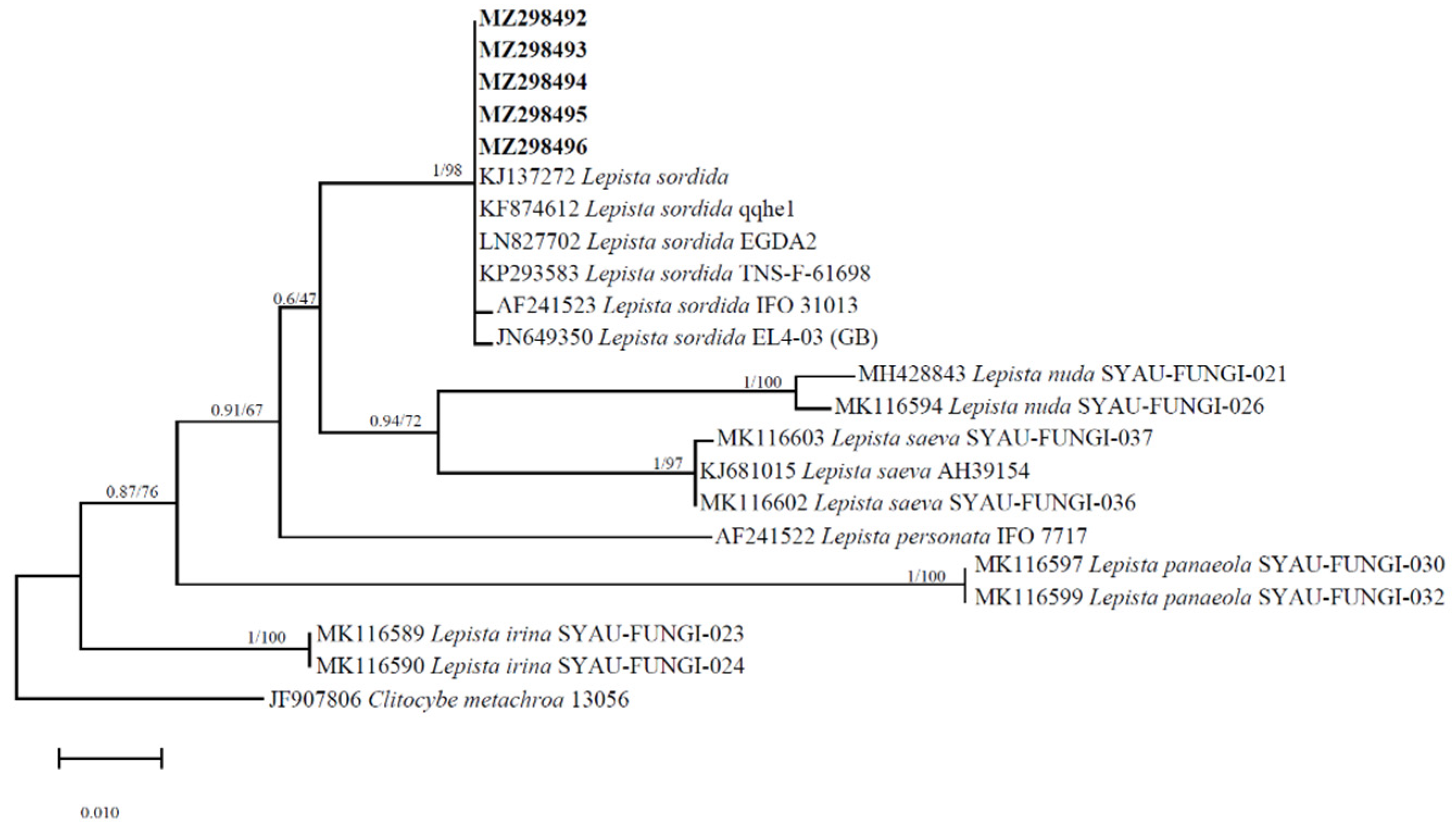 Life 14 00101 g002 Life 14 00101 g002