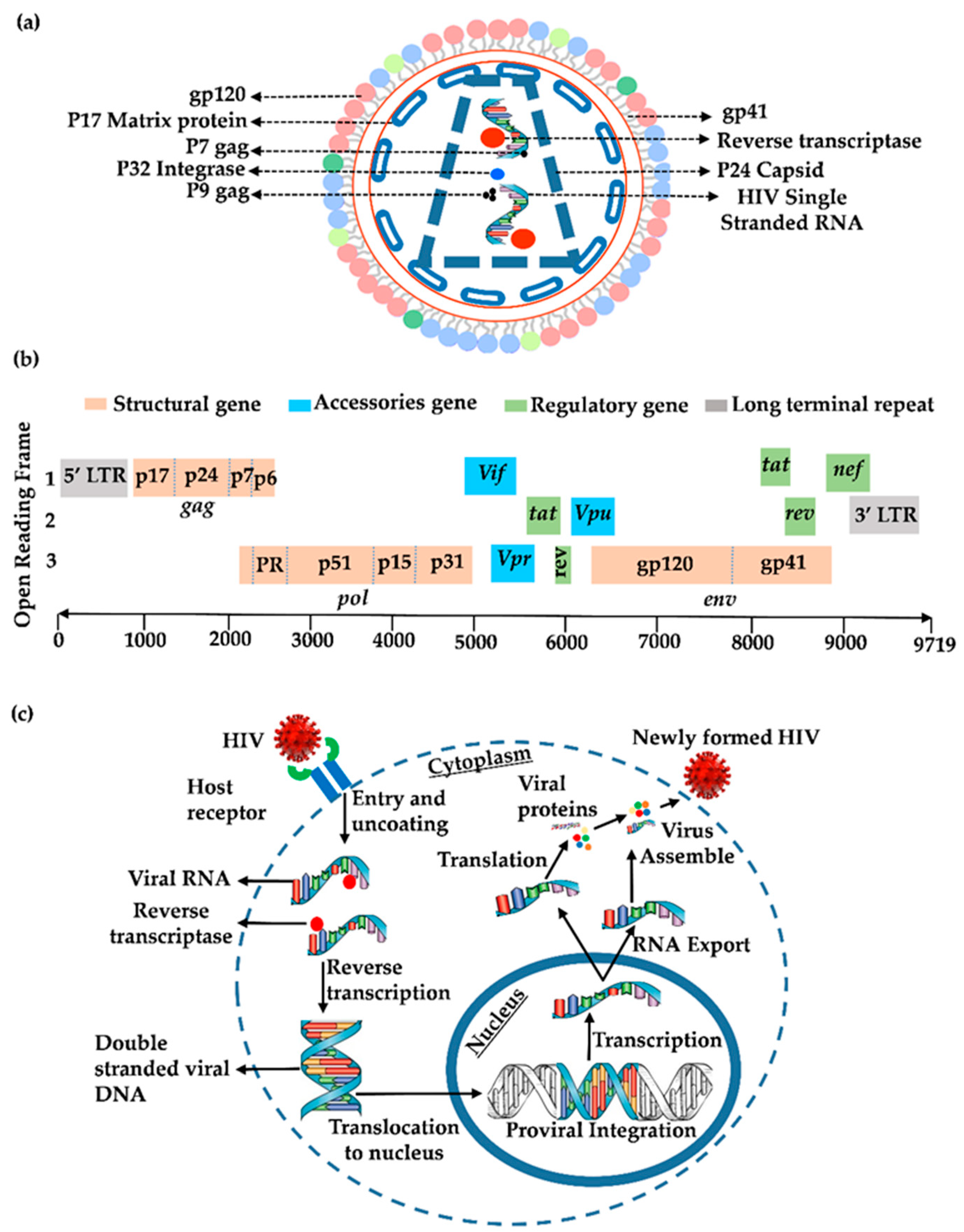 Life 14 00104 g001 Life 14 00104 g001