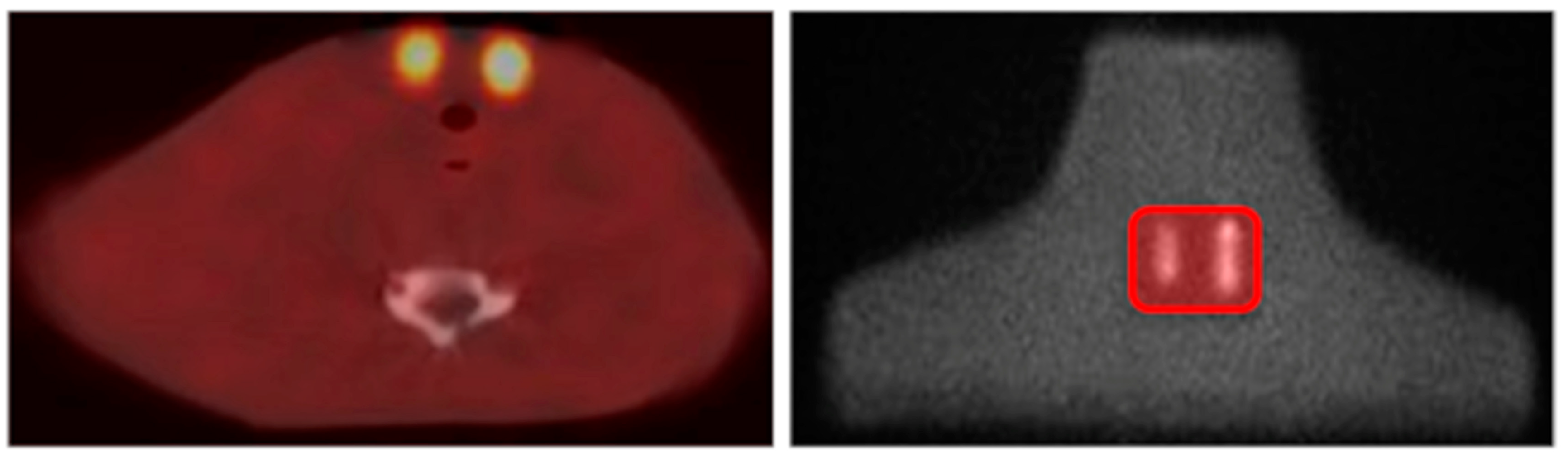 Life 14 00113 g001 Life 14 00113 g001