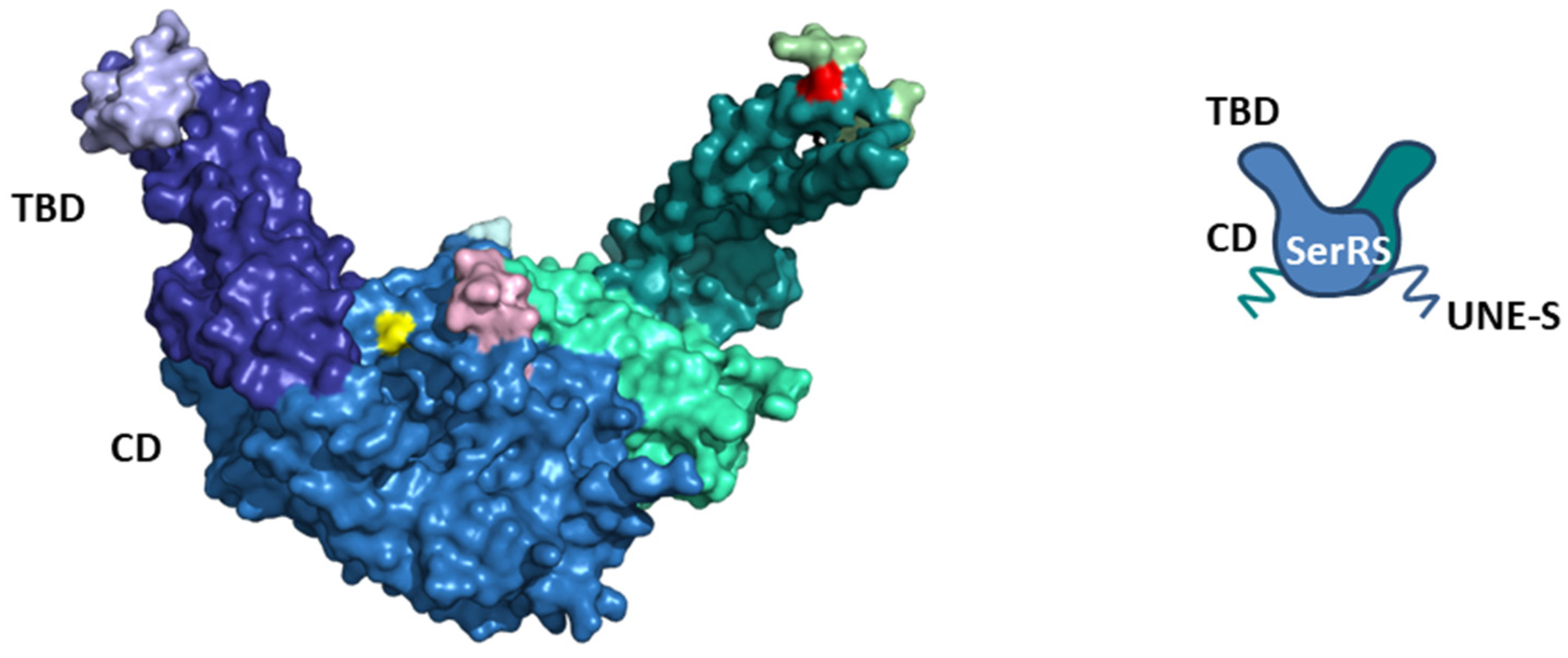 Life 14 00124 g001 Life 14 00124 g001