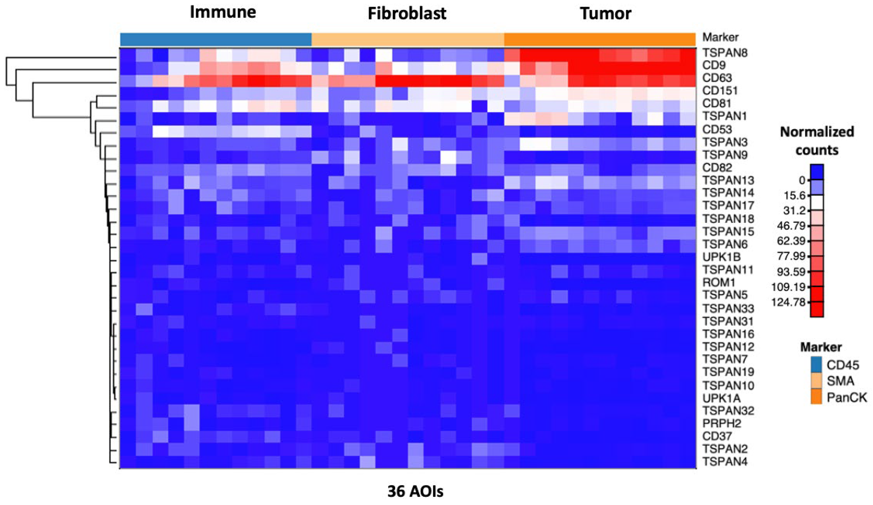 Life 14 00126 g002 Life 14 00126 g002